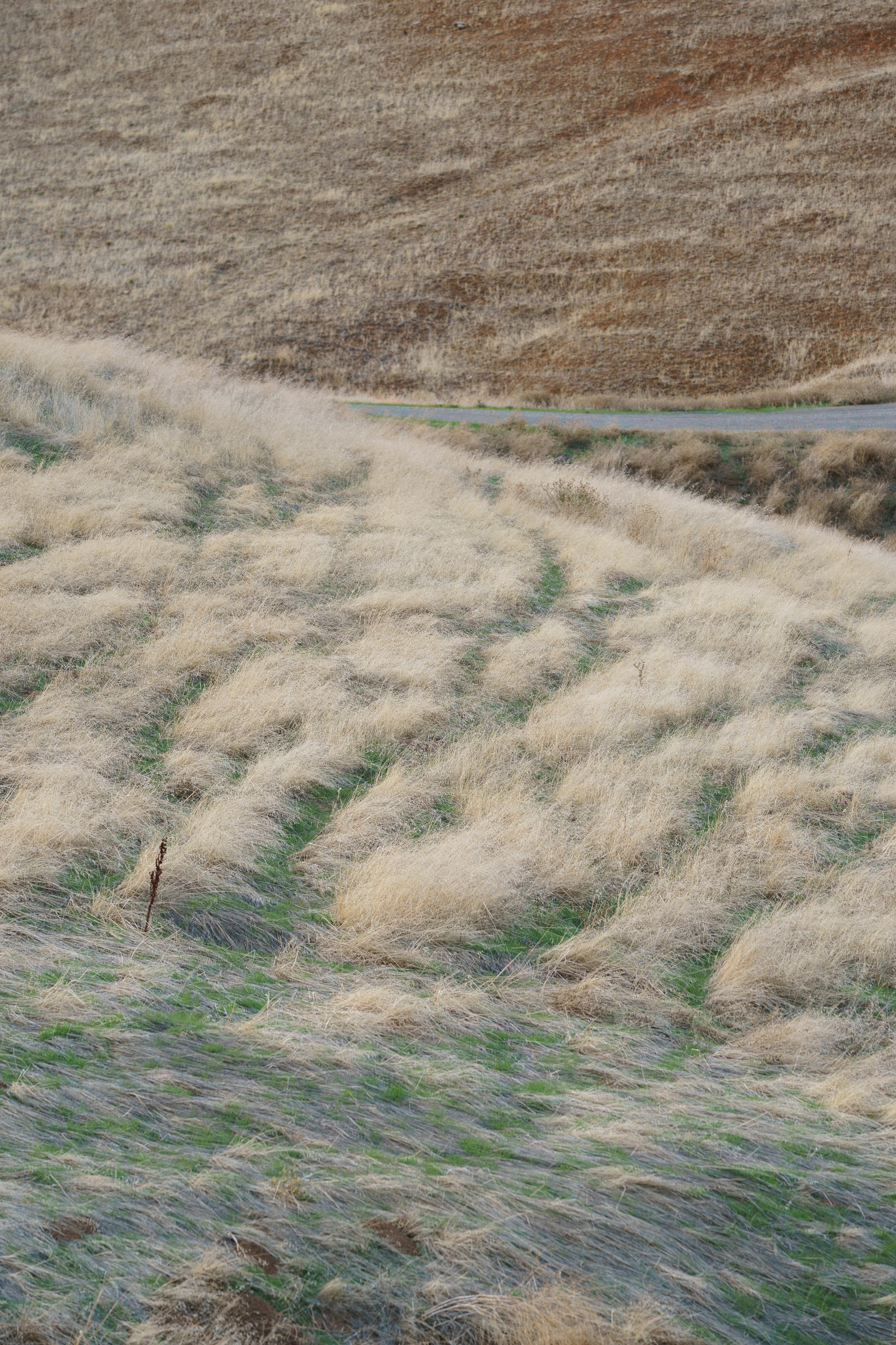 Los Vaqueros Reservoir. Tatiana Smirnova — Photographer
