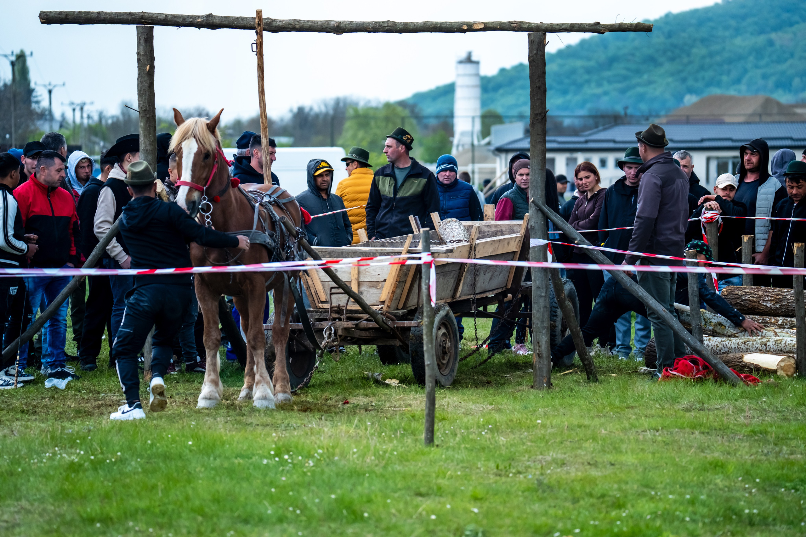 Concurs Ecvestru Vărbilău ediția a 4-a. Mihai Alexandra Events