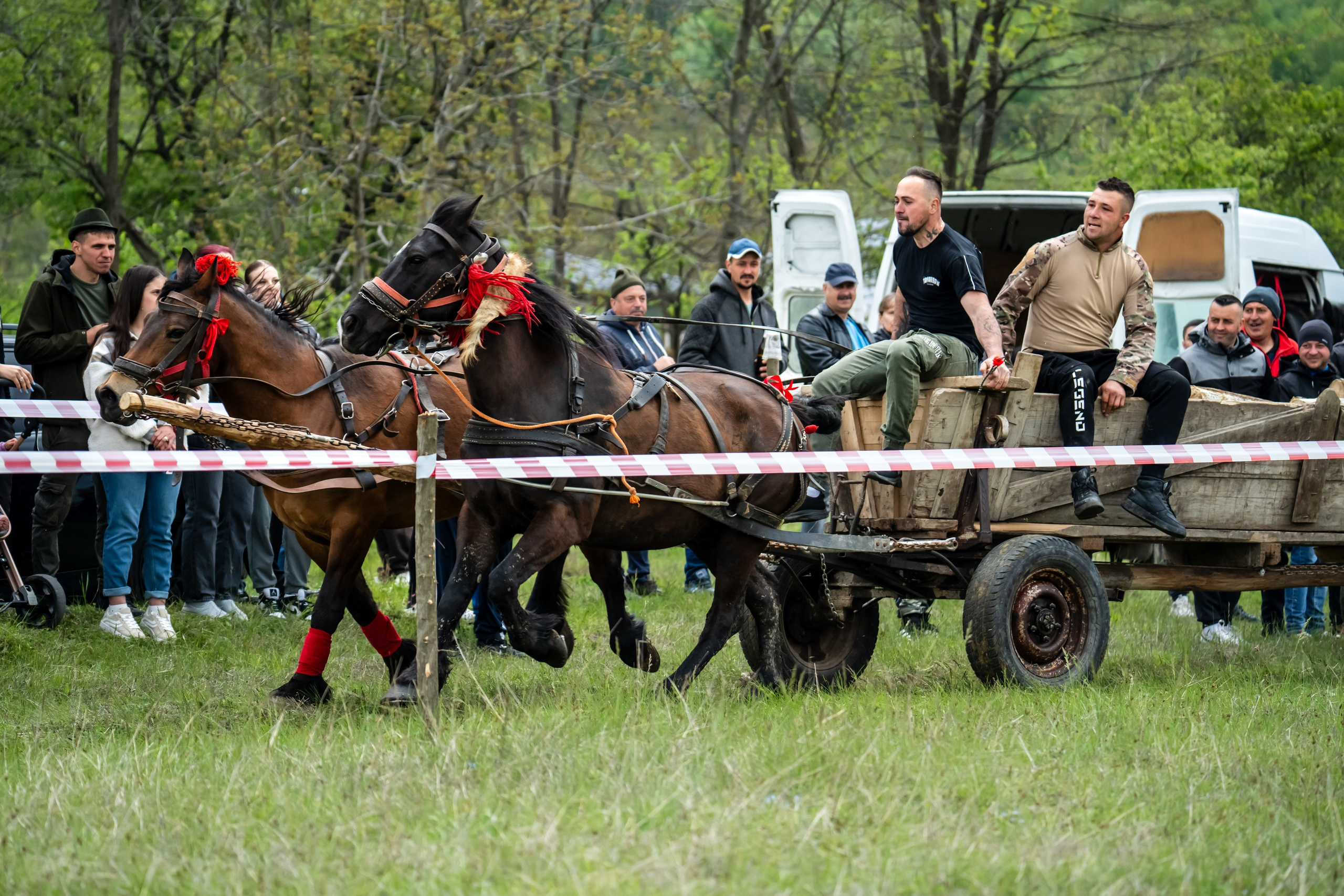 Concurs Ecvestru Vărbilău ediția a 4-a. Mihai Alexandra Events