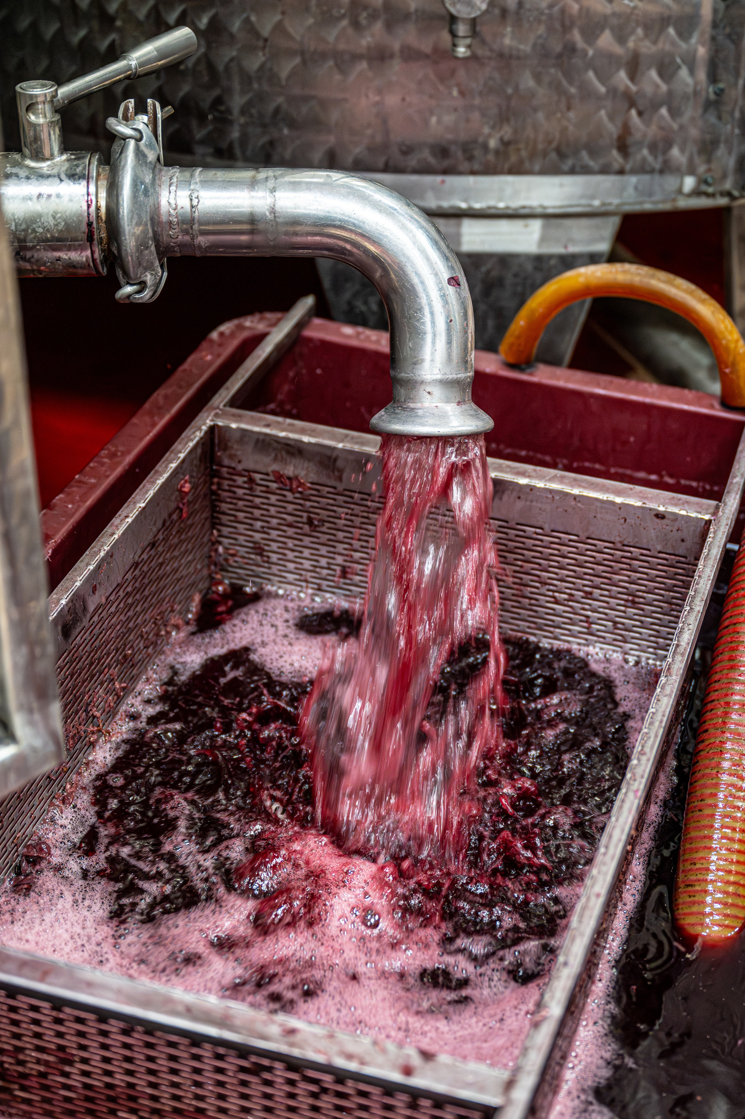 Cantine Boasso Serralunga. “Gianmaria Coscia fotografo per passione”