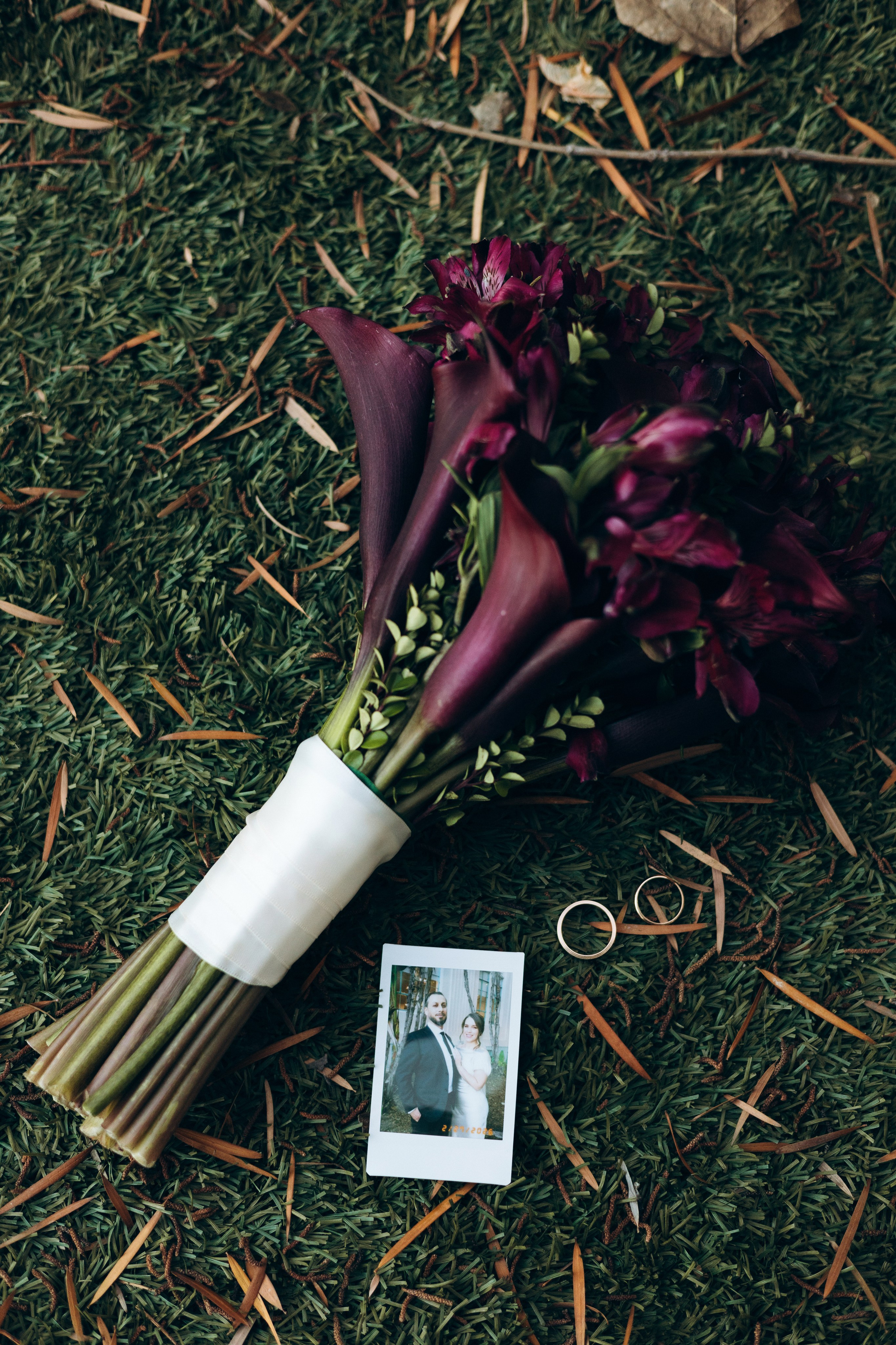 Jessi and Alex. Весільний та сімейний фотограф у Сан-Дієго