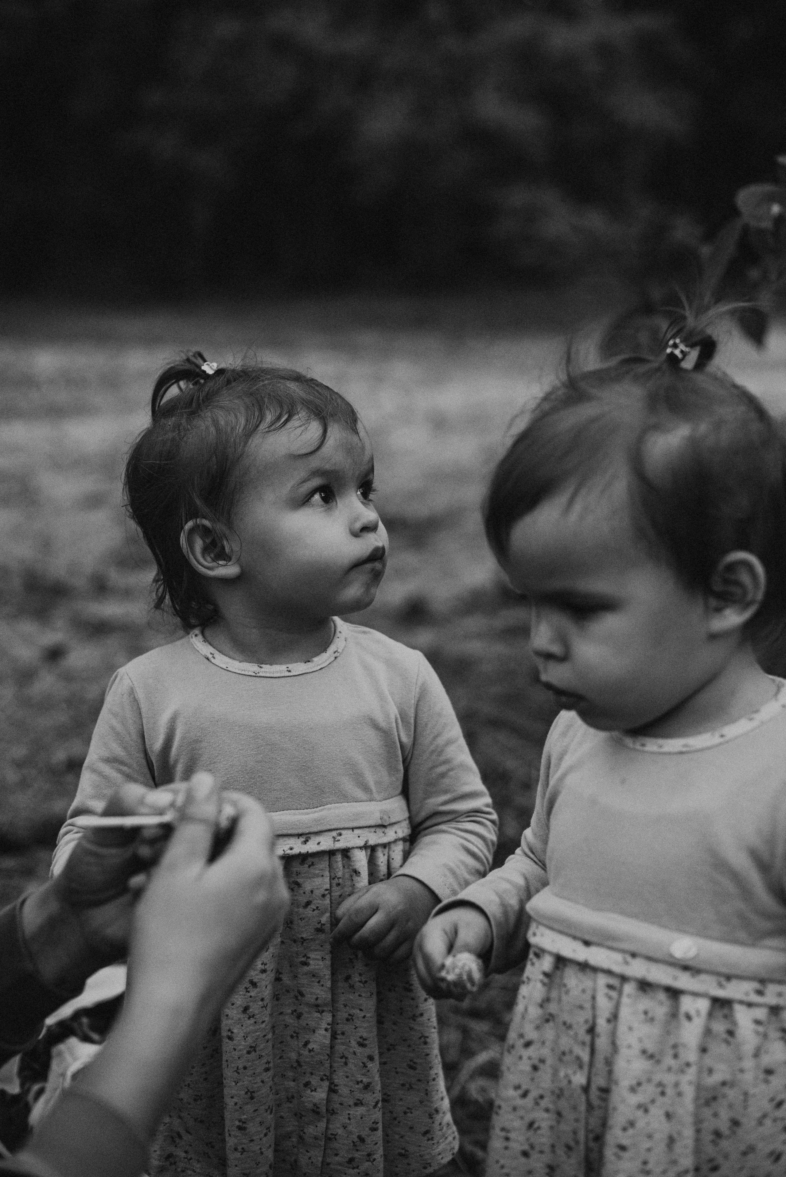 *. Wedding and family photographer San Diego