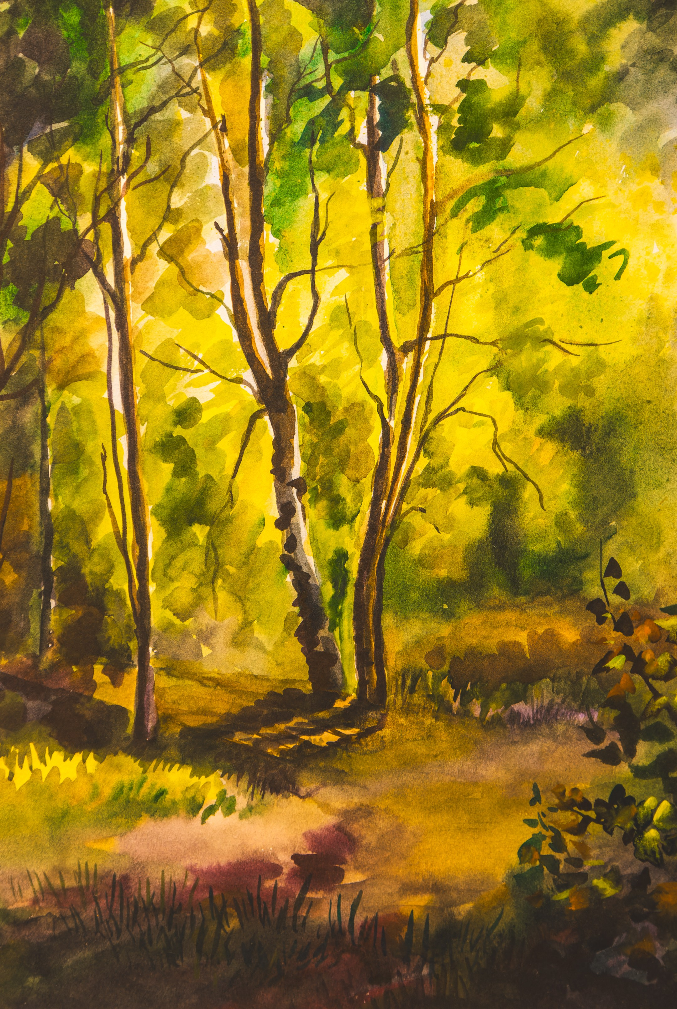 Puhkus Peterburis (Ermitaaž, Shadow muuseum, Grand Maket Venemaa, ArtMuza). Nebula 25 — Fotod teie hingele