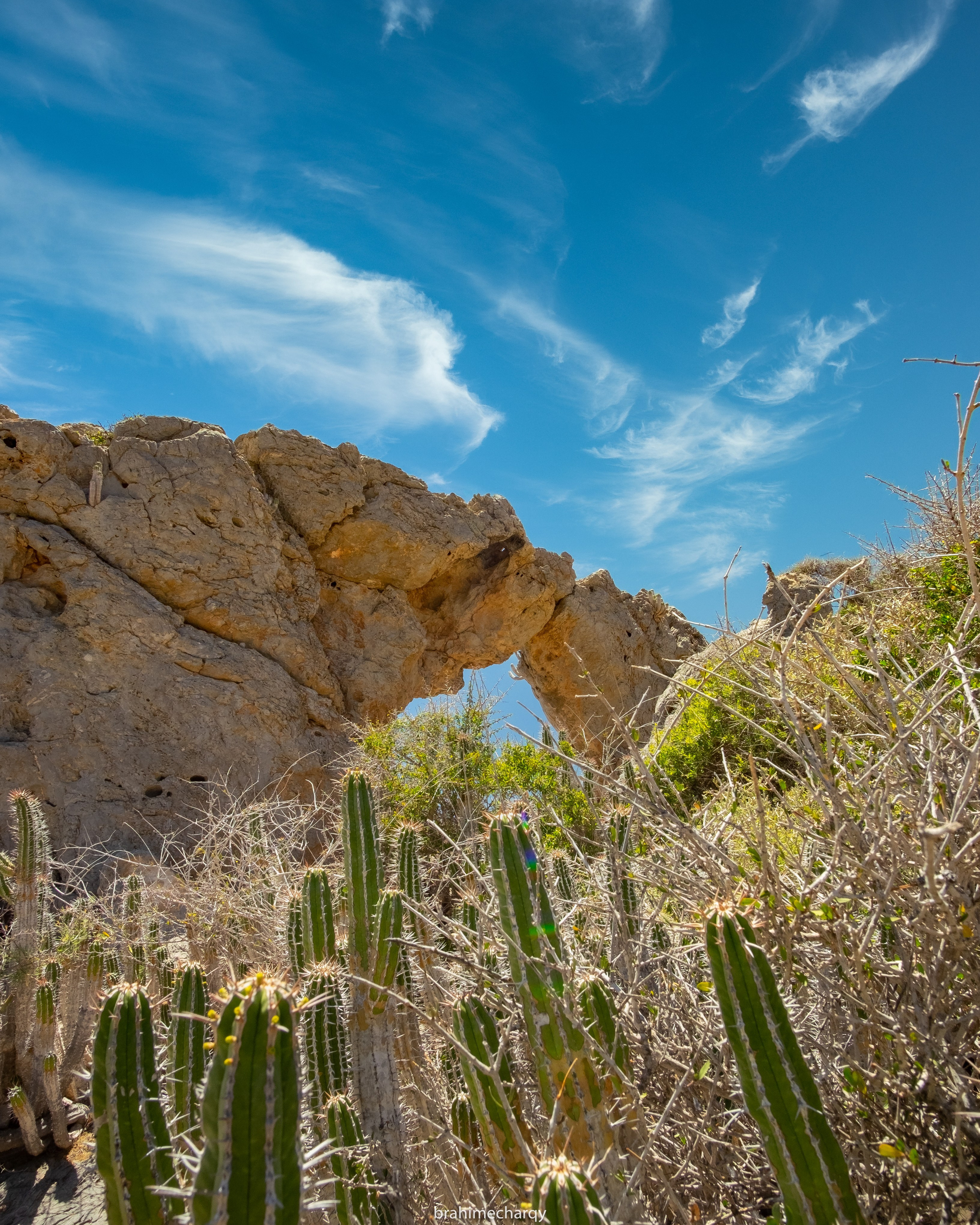 Фото. Брахим — фотограф