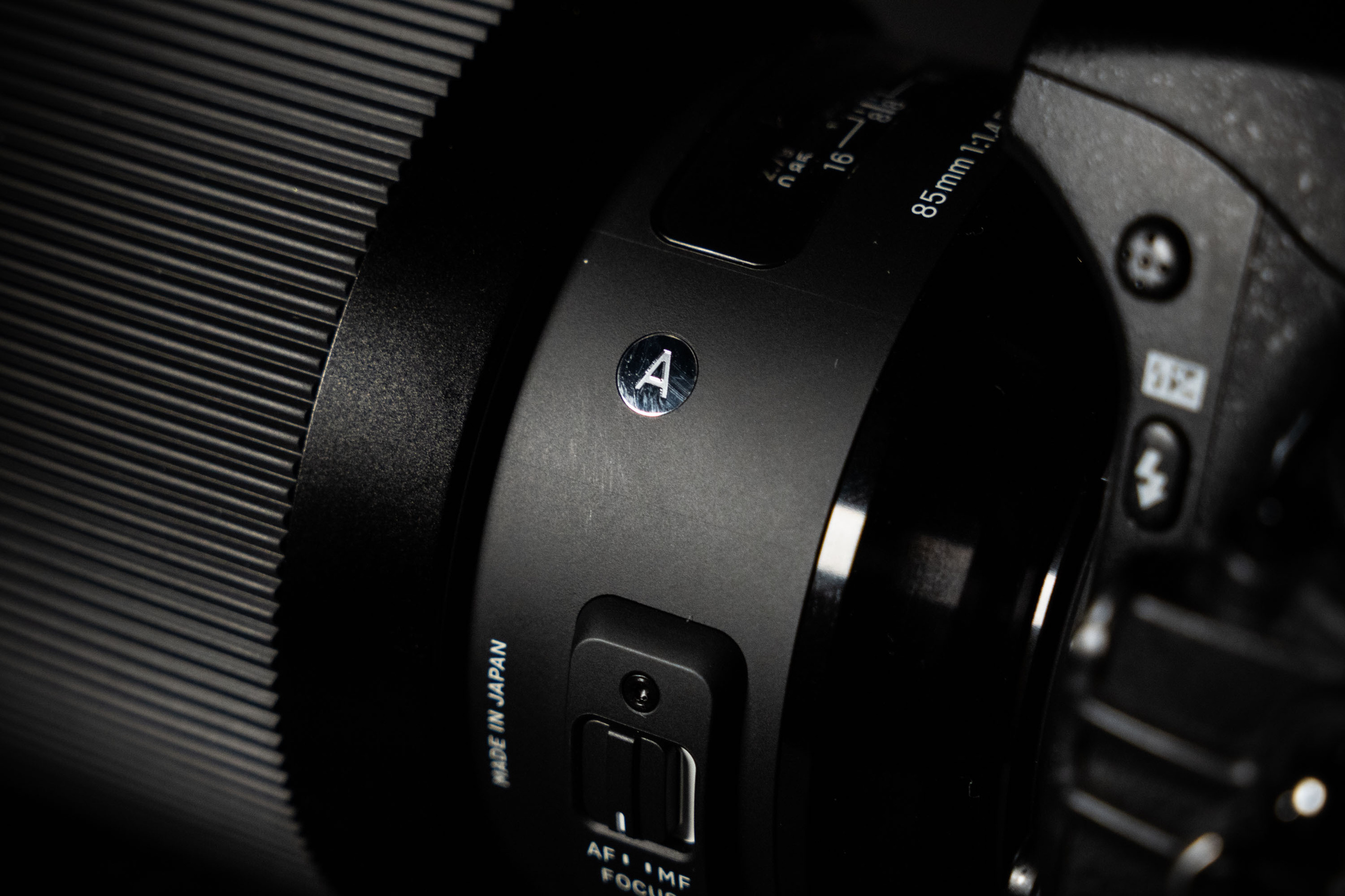 SIGMA 85 mm F/1.4 DG HSM Art (Nikon). Фотограф Григорий Кравец