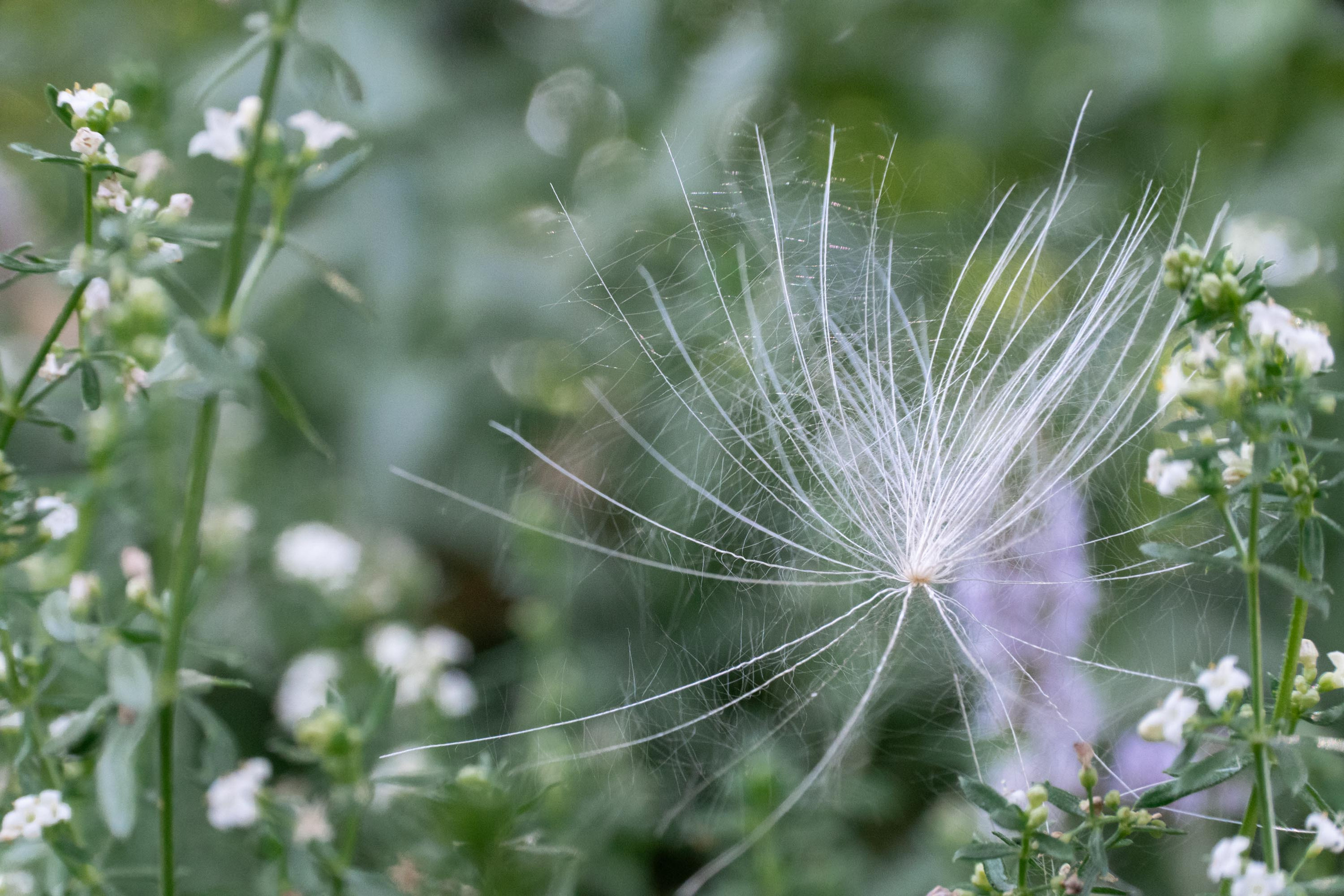 SIGMA 17-70mm F/2.8-4 DC HSM. Фотограф Григорий Кравец