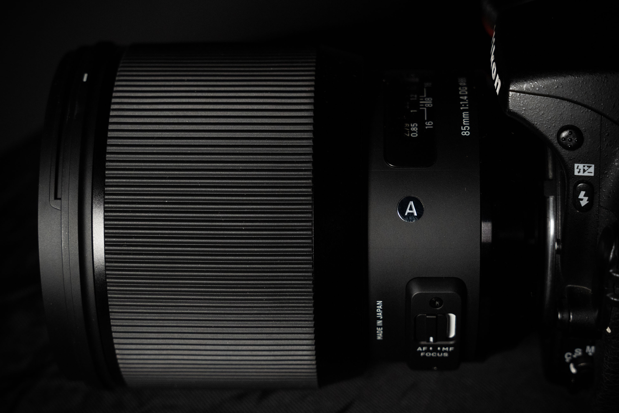 SIGMA 85 mm F/1.4 DG HSM Art (Nikon). Фотограф Григорий Кравец