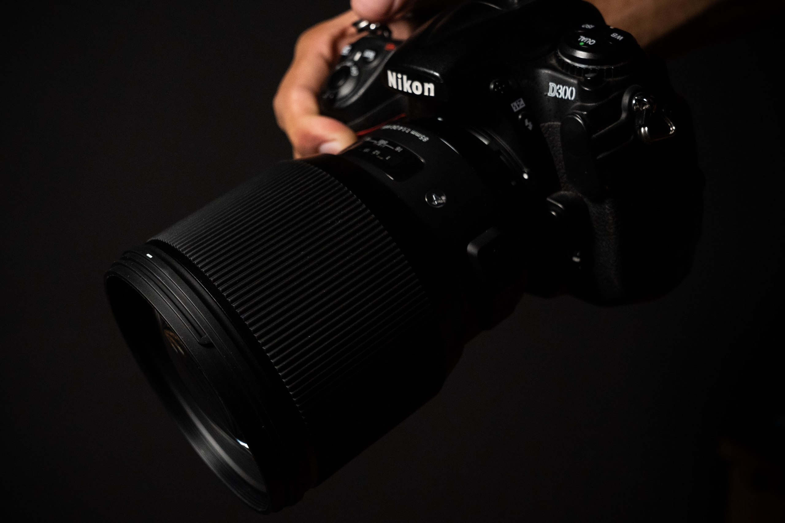 SIGMA 85 mm F/1.4 DG HSM Art (Nikon). Фотограф Григорий Кравец