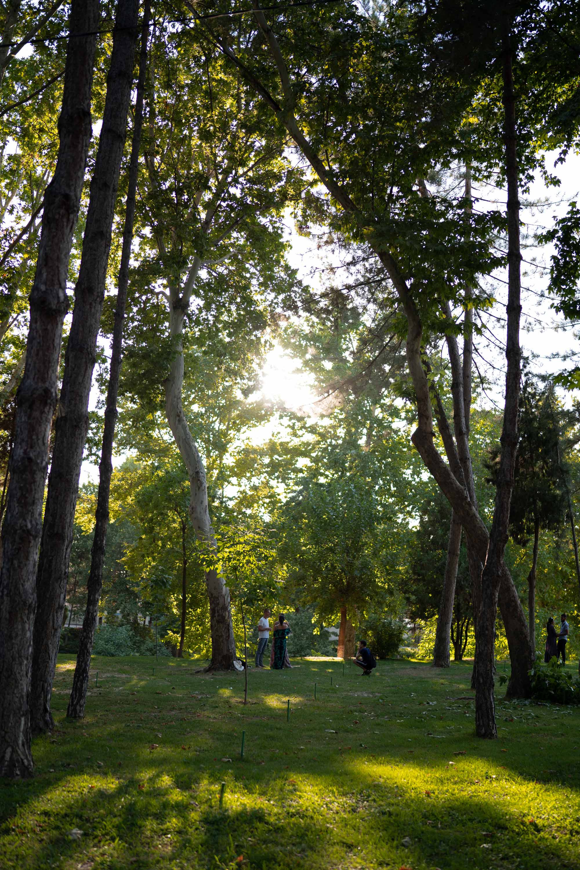 SIGMA 35 mm F1.4 Art (Sony-E). Фотограф Григорий Кравец