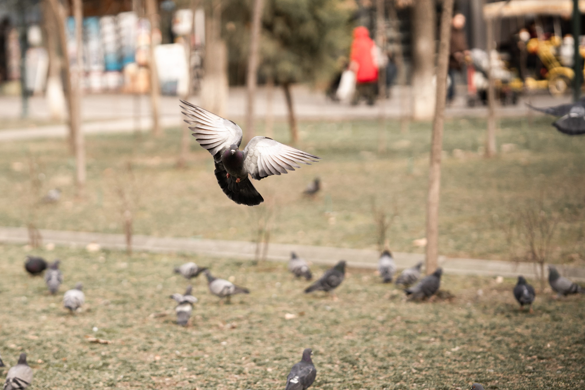 SIGMA 85 mm F/1.4 для камер Sony E-mount. Фотограф Григорий Кравец