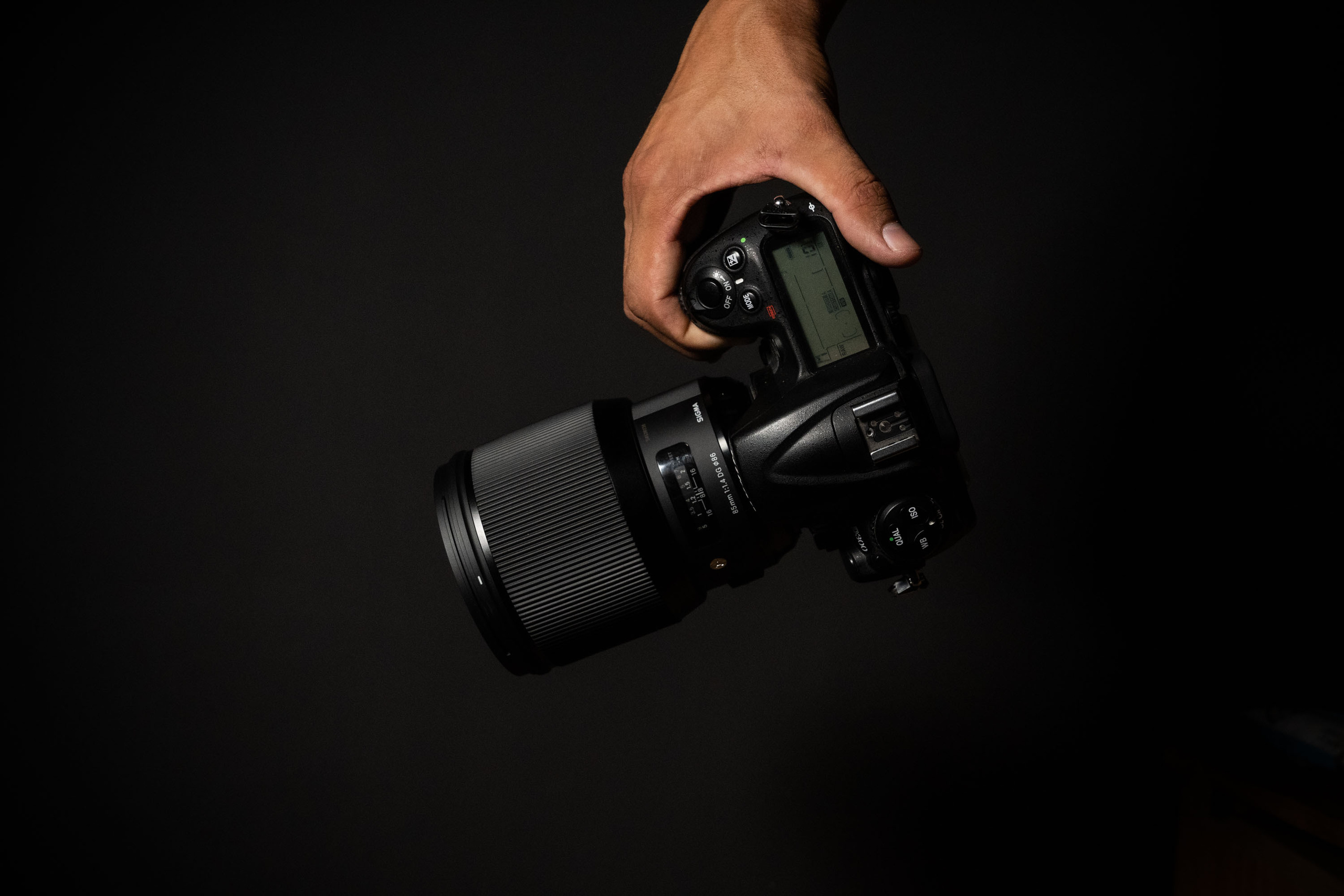 SIGMA 85 mm F/1.4 DG HSM Art (Nikon). Фотограф Григорий Кравец