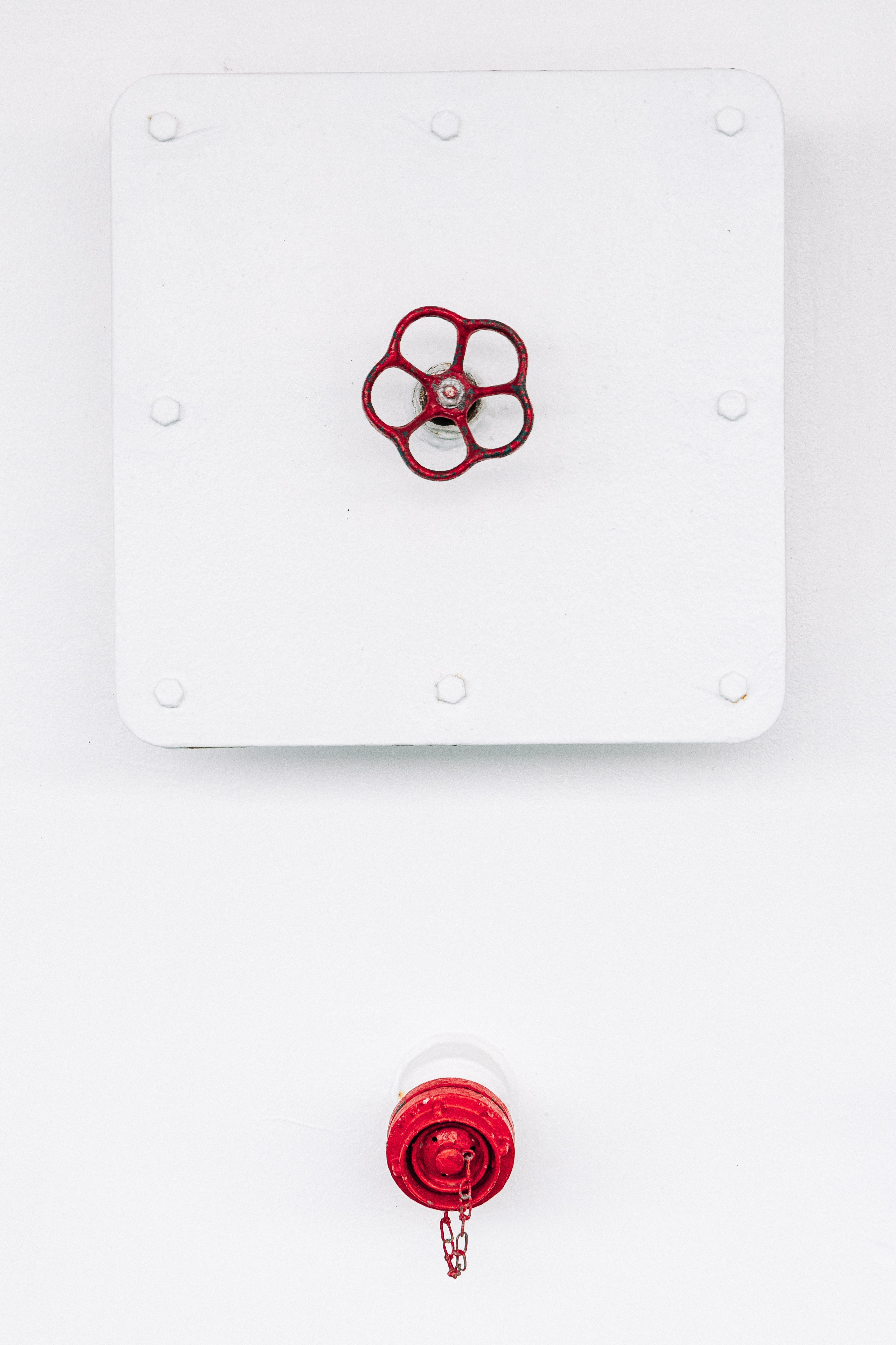 Street Photography. Portree- ja perefotograaf Anton Hansen Tallinnas, Eestis