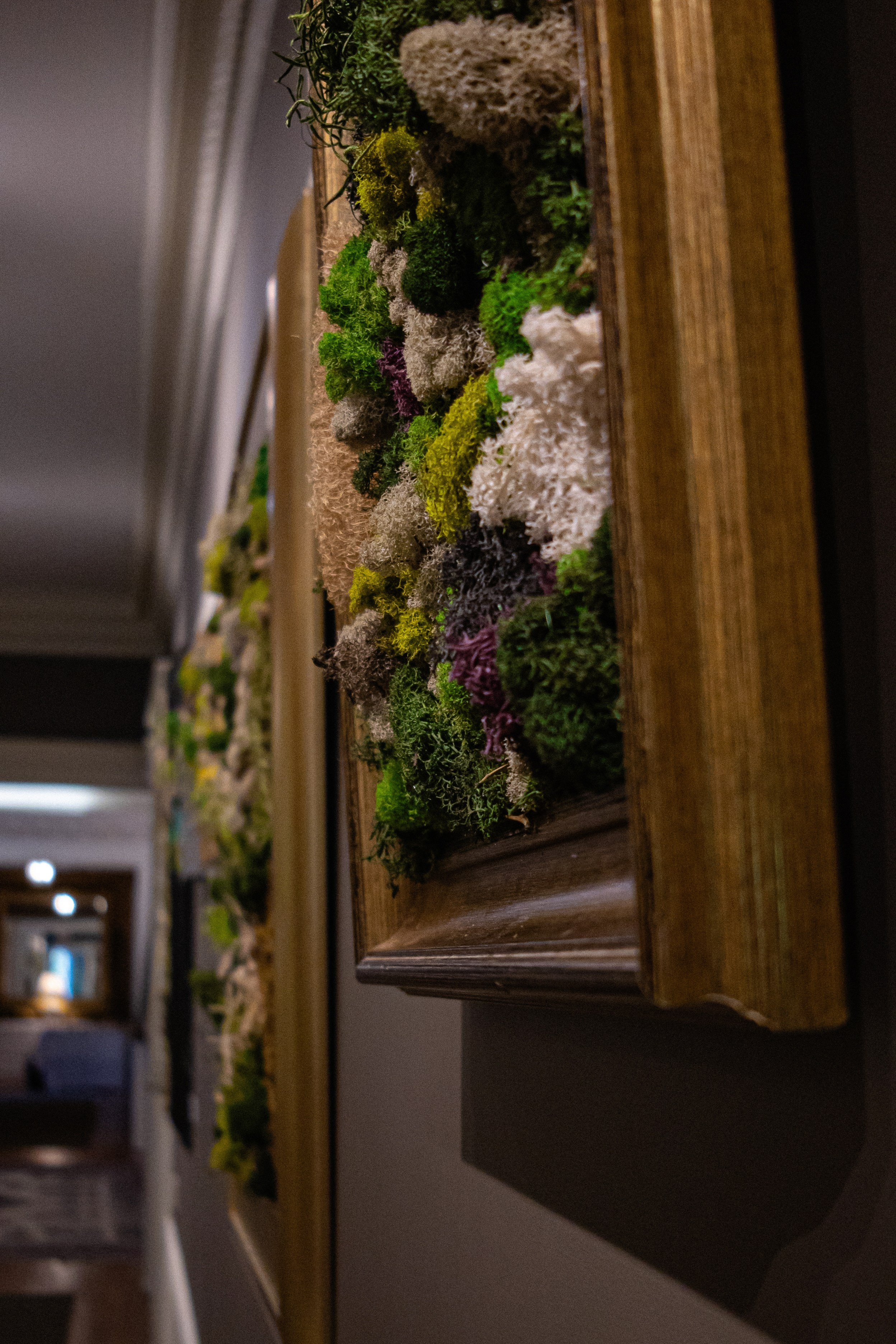 Anna & Moss magic, Content. Yana Bobrova | Artistic Photography