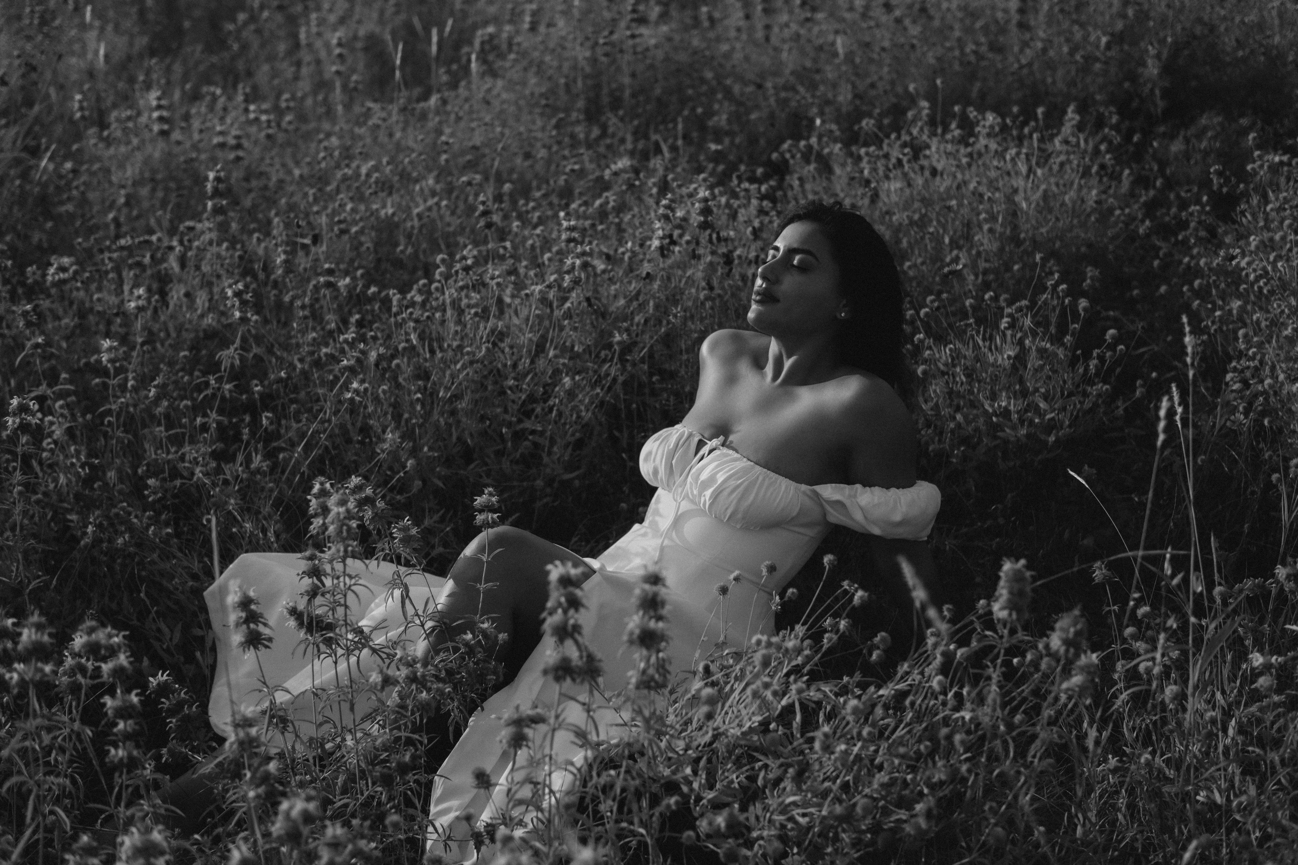 Fields of Flowers. Lens Captures Life