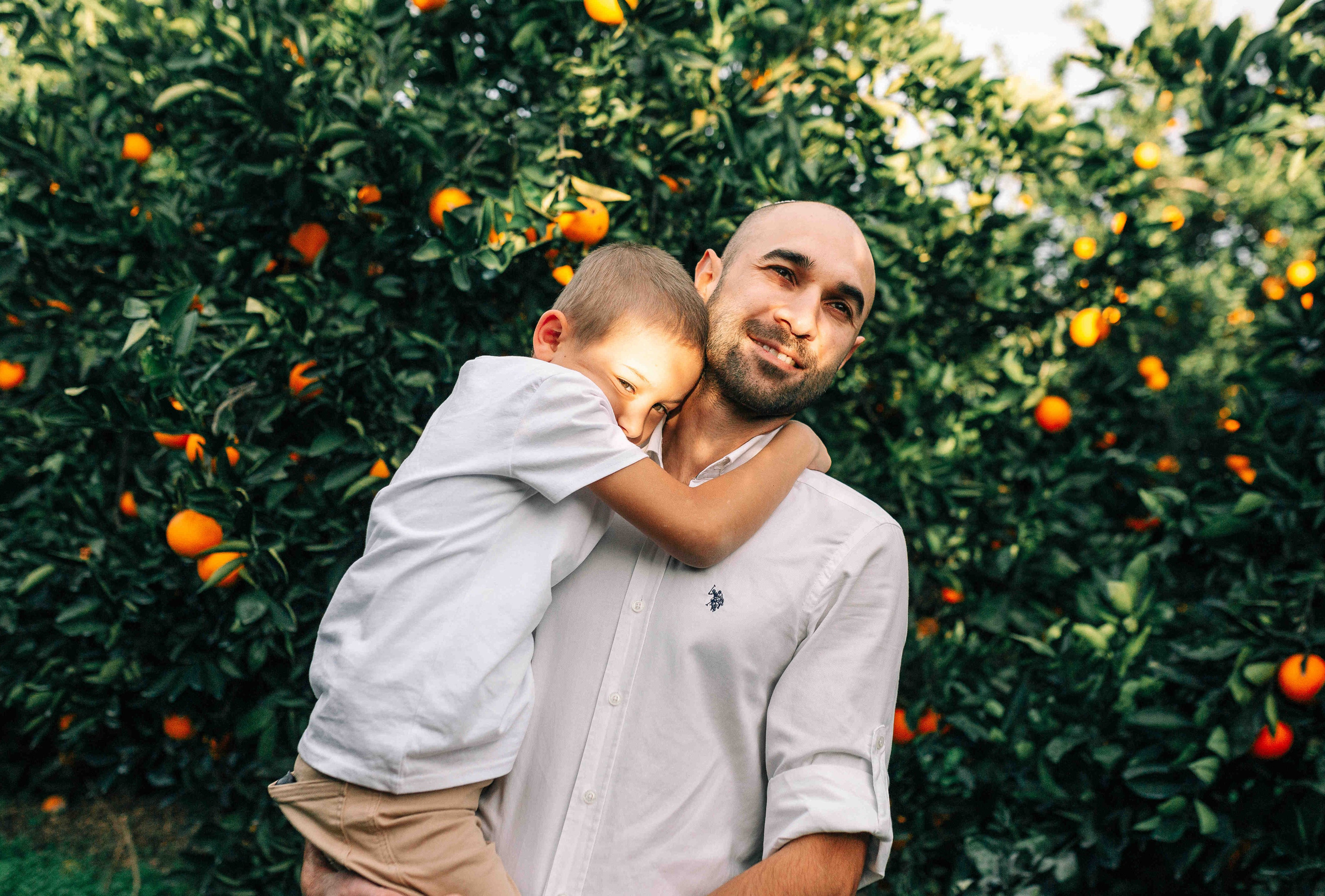 MANDARNINE GARDEN. Https://shi-photo.com/