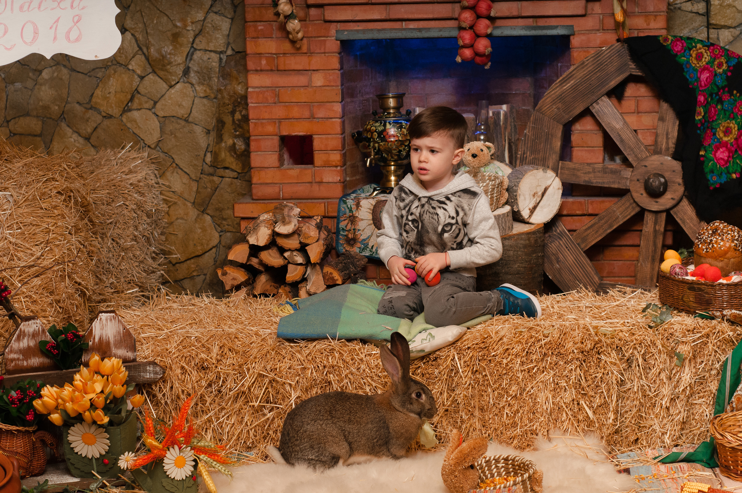 Фотограф в Бельцах