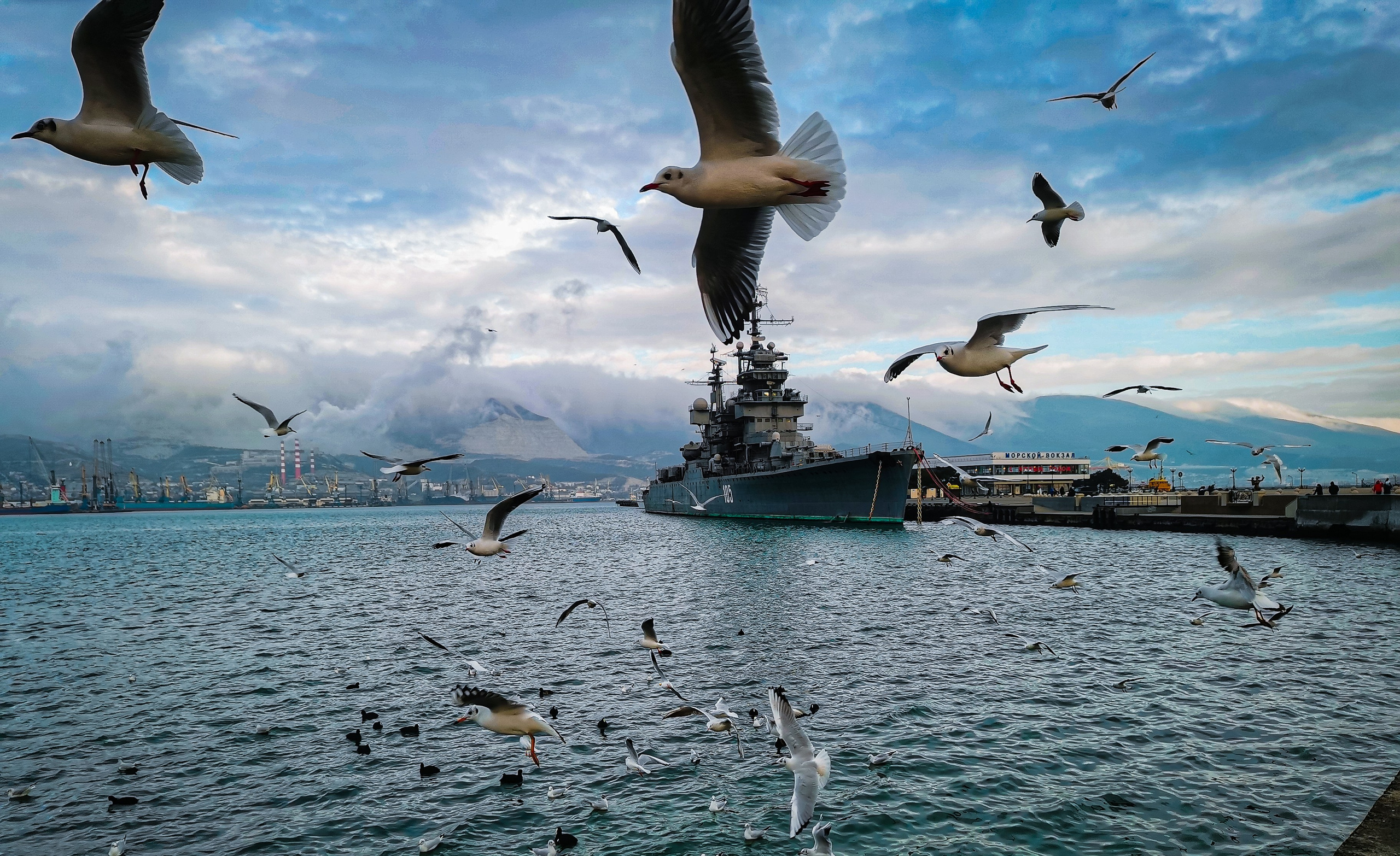 Novorossiysk in pictures of travel photographer. Victoria Fedoseenko. Photographer from Serbia