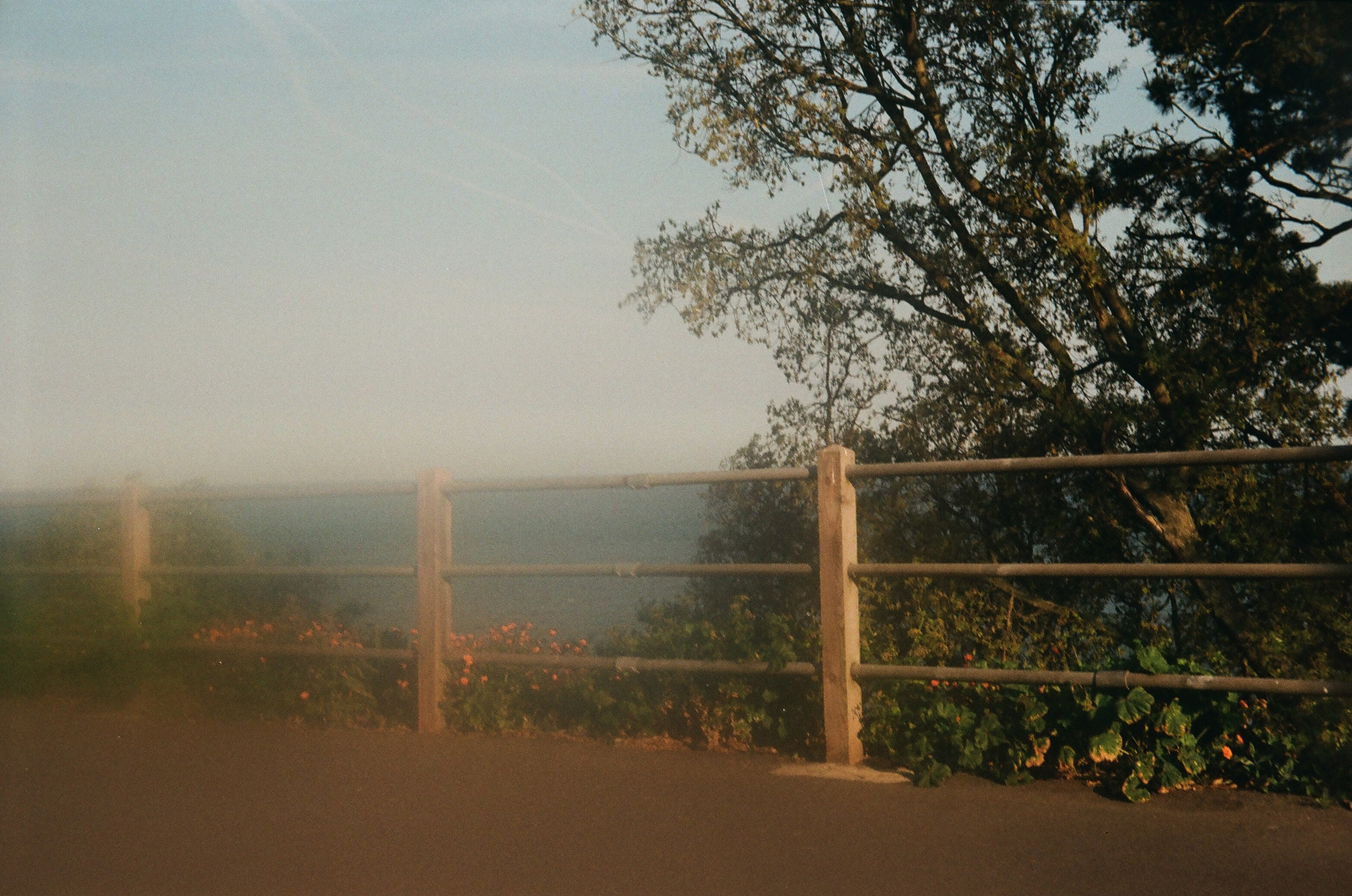 Folkestone (England, UK) 2025. Elena Zykova film photographer in London