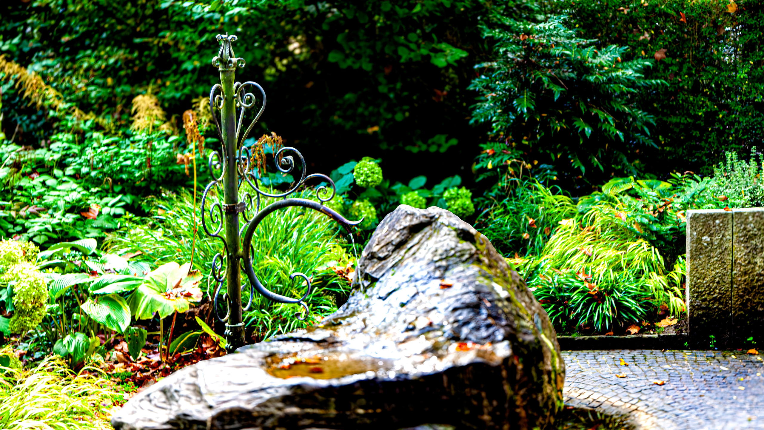 187.Mainau.Germany.24.9.2024. Путешествия в формате 360......