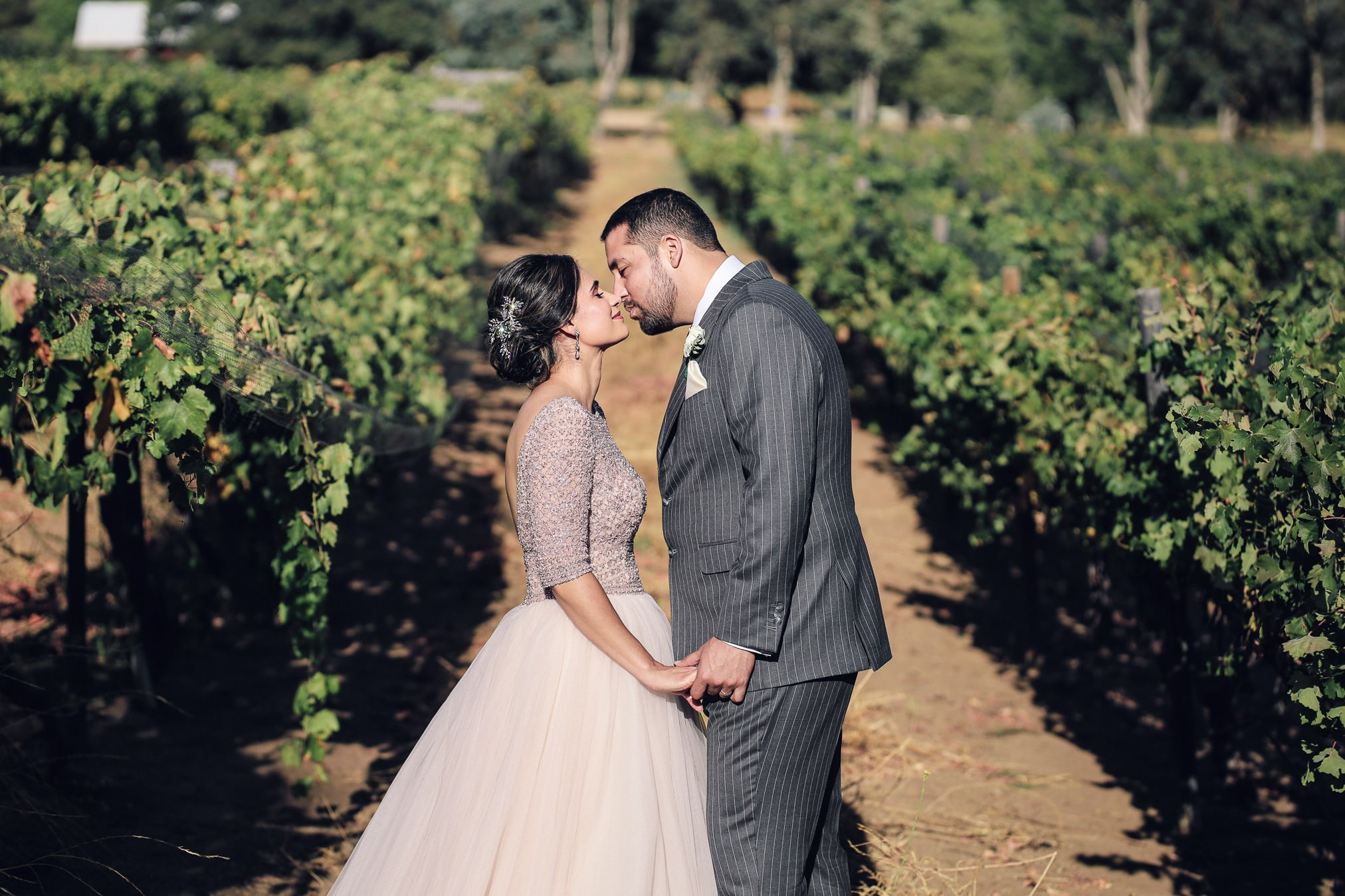 Rancho Baloyan Valle de Guadalupe Eunice y Oliver. Estudio de fotografia en Tijuana