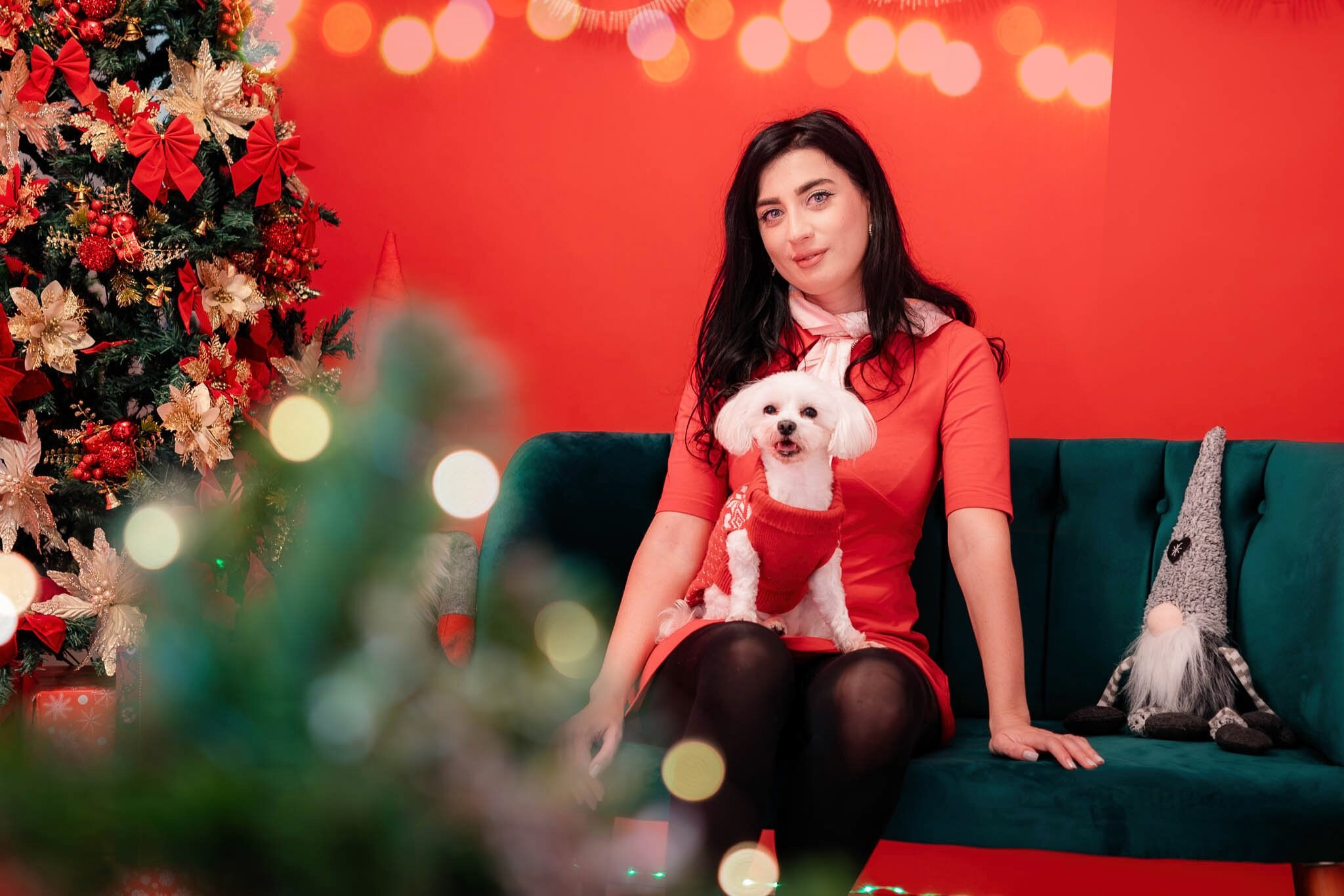 Sedinta Craciun Alexandrina