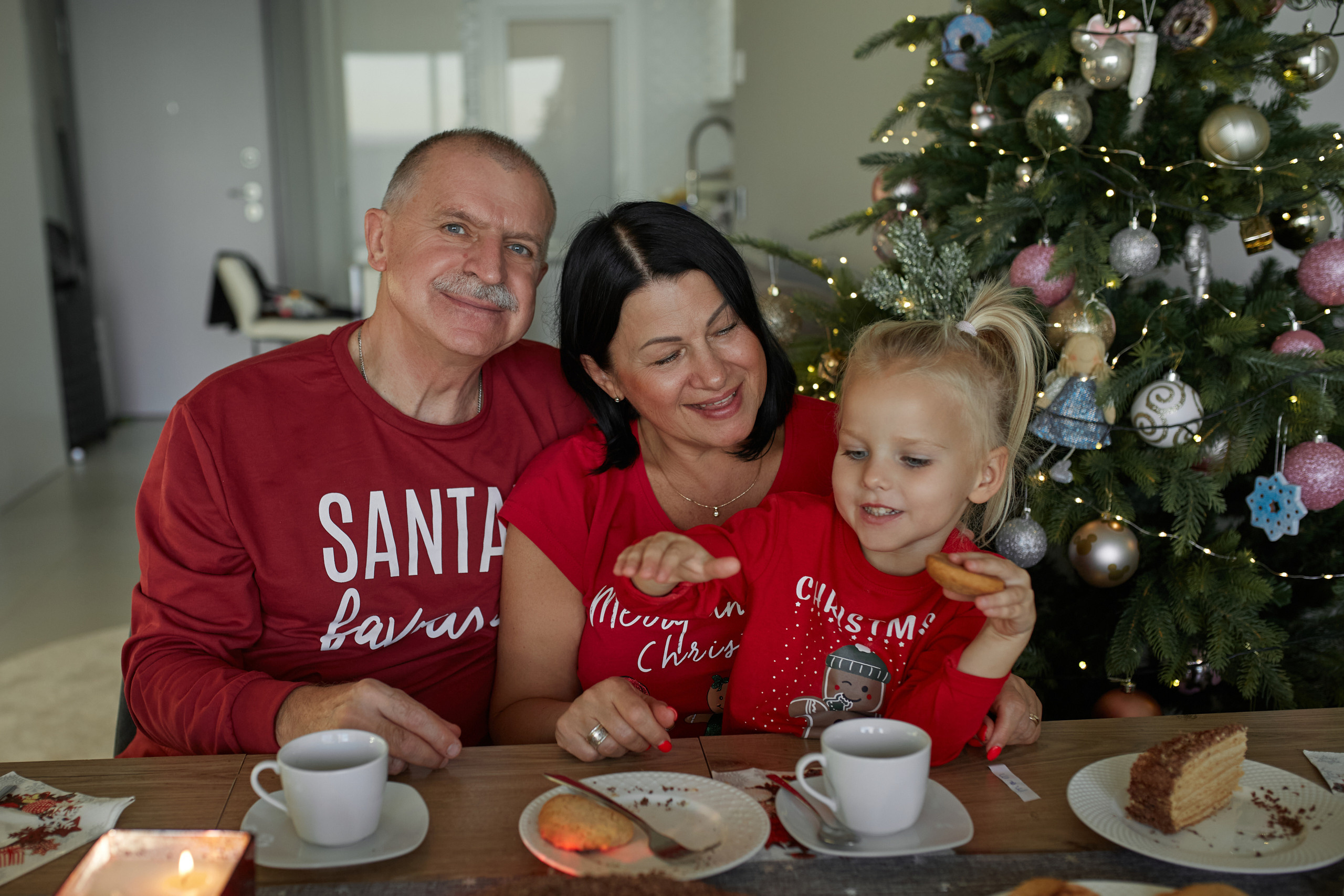 Новый год домашняя съемка. PÁGINA PRINCIPAL