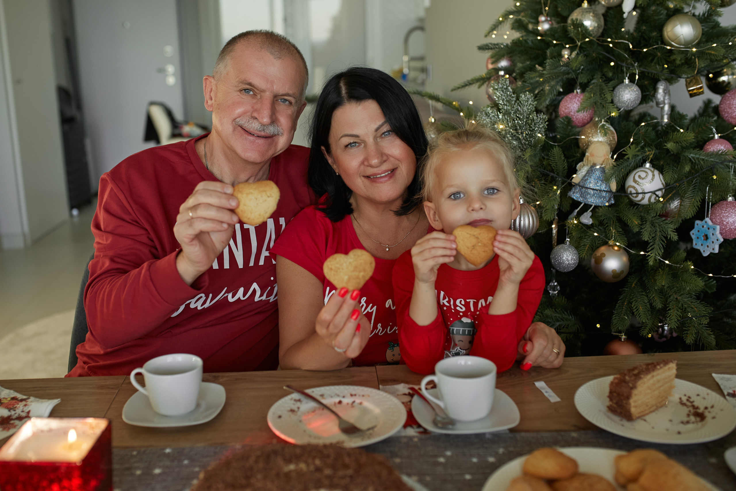 Новый год домашняя съемка. PÁGINA PRINCIPAL