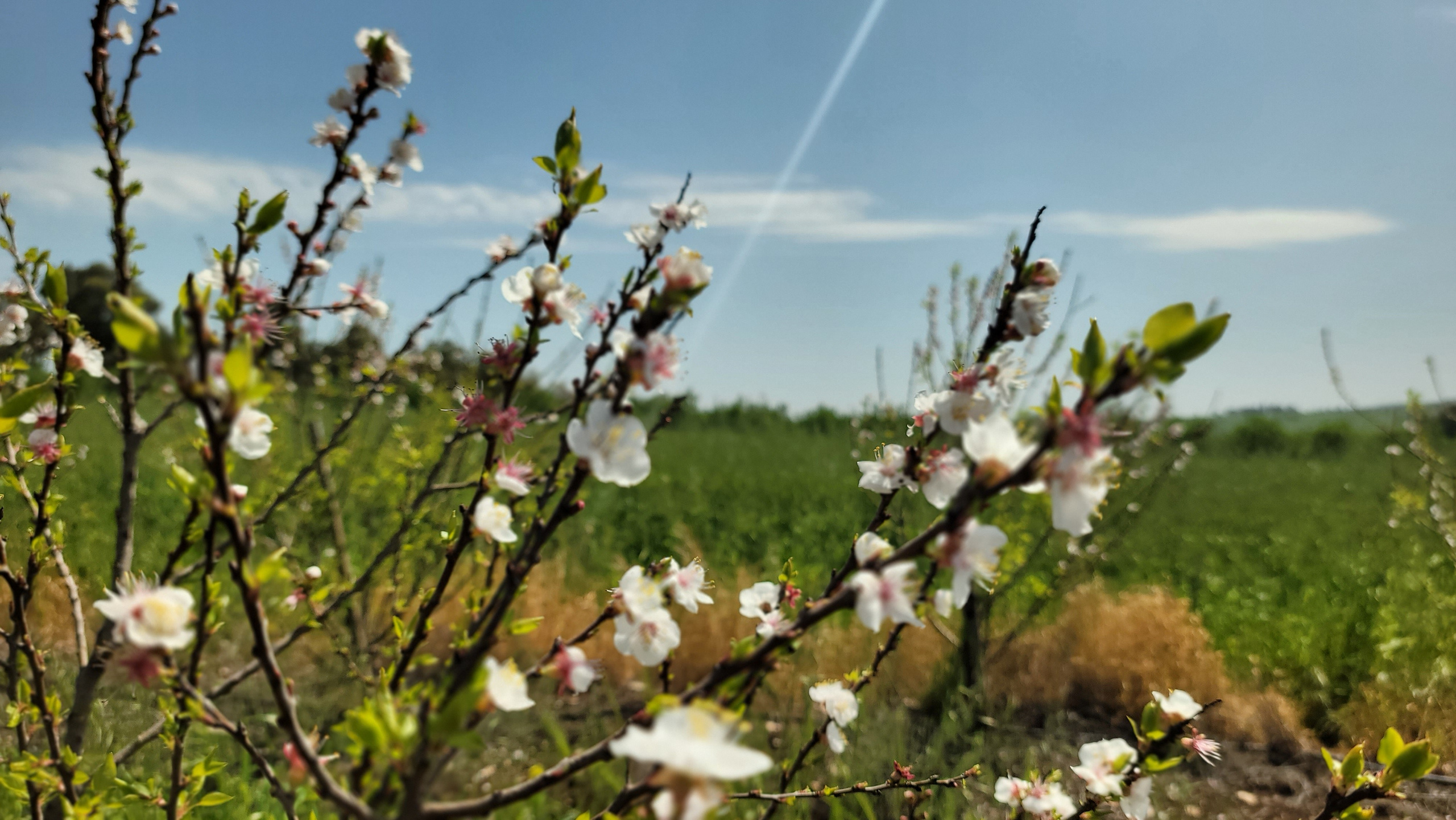 Реконструкционный поход Shvil Israel 2024 — Клуб «Нортман». КРиС «Нортман»