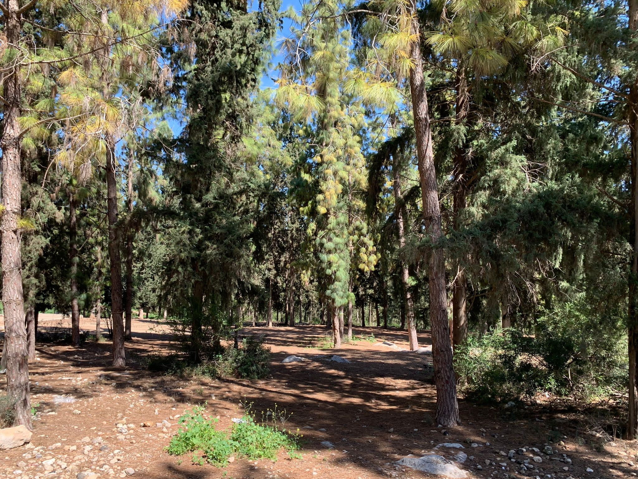 Чёрный фьорд 2021. КРиС «Нортман»