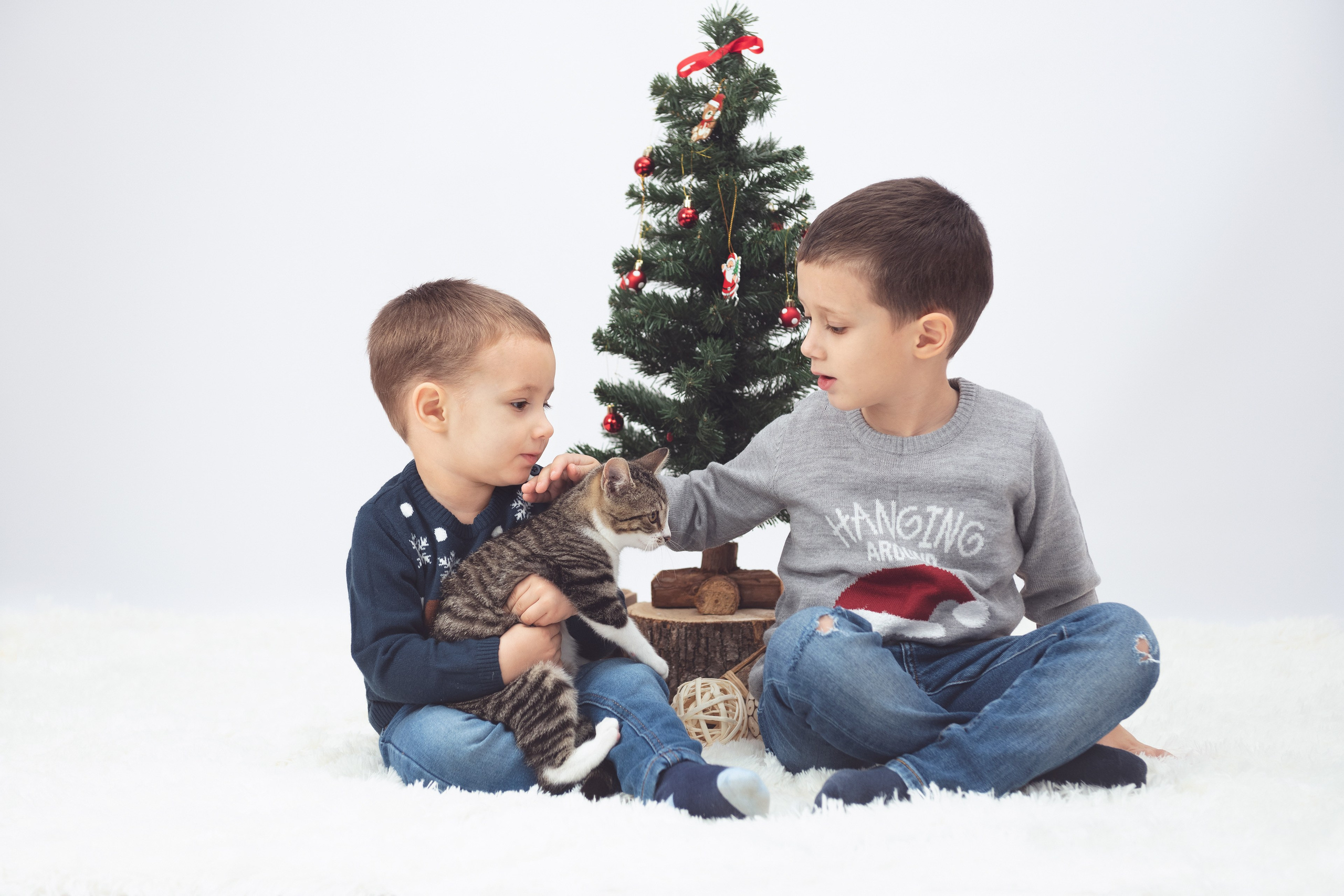 Christmas. O fotografie