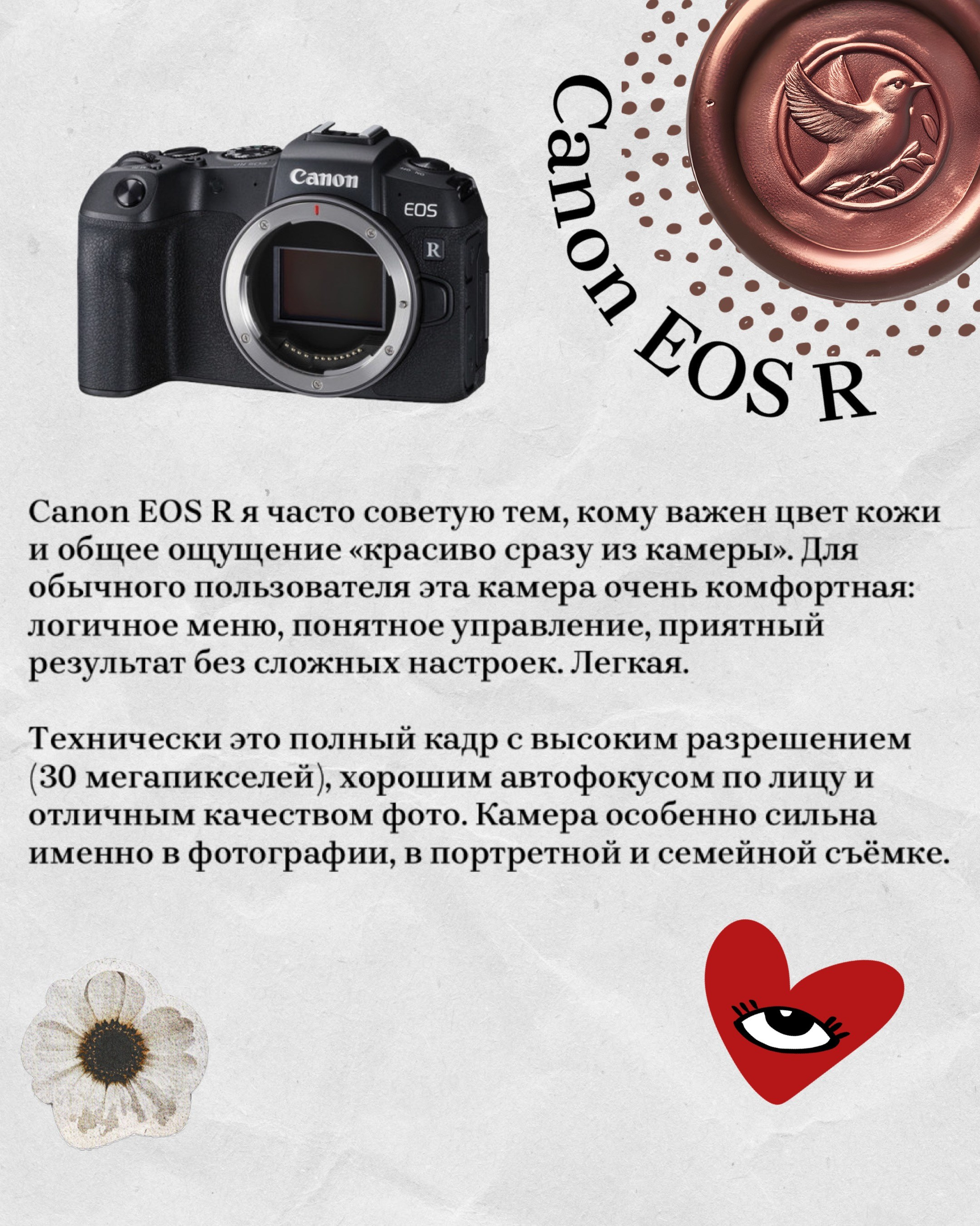 Какой выбрать бюджетный фотоаппарат. Портретный и свадебный фотограф в Батуми Валерия Азаренко