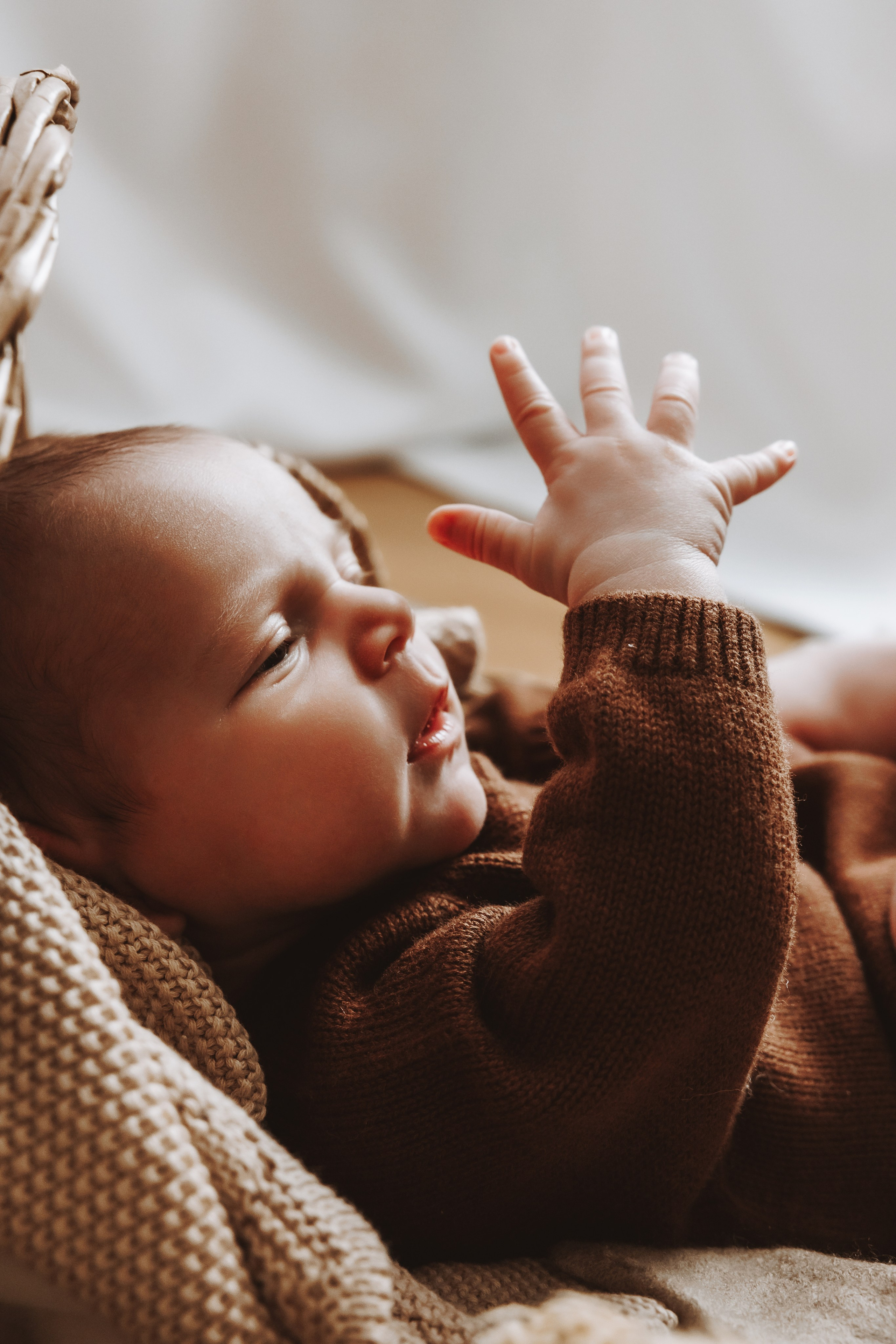 Newborn. Фотограф Ирина Йотова