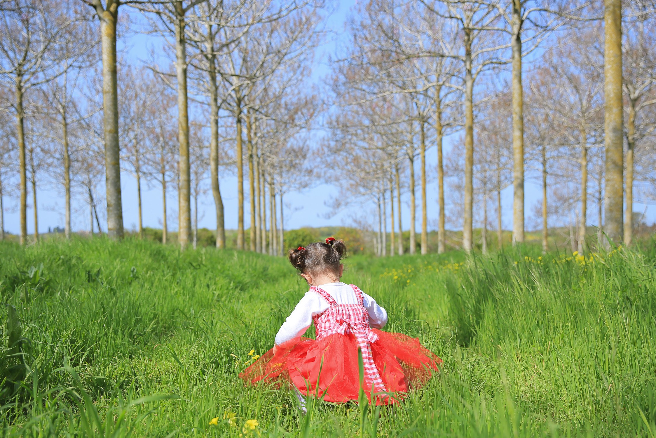 צילומי פורים בטבע. דף בית