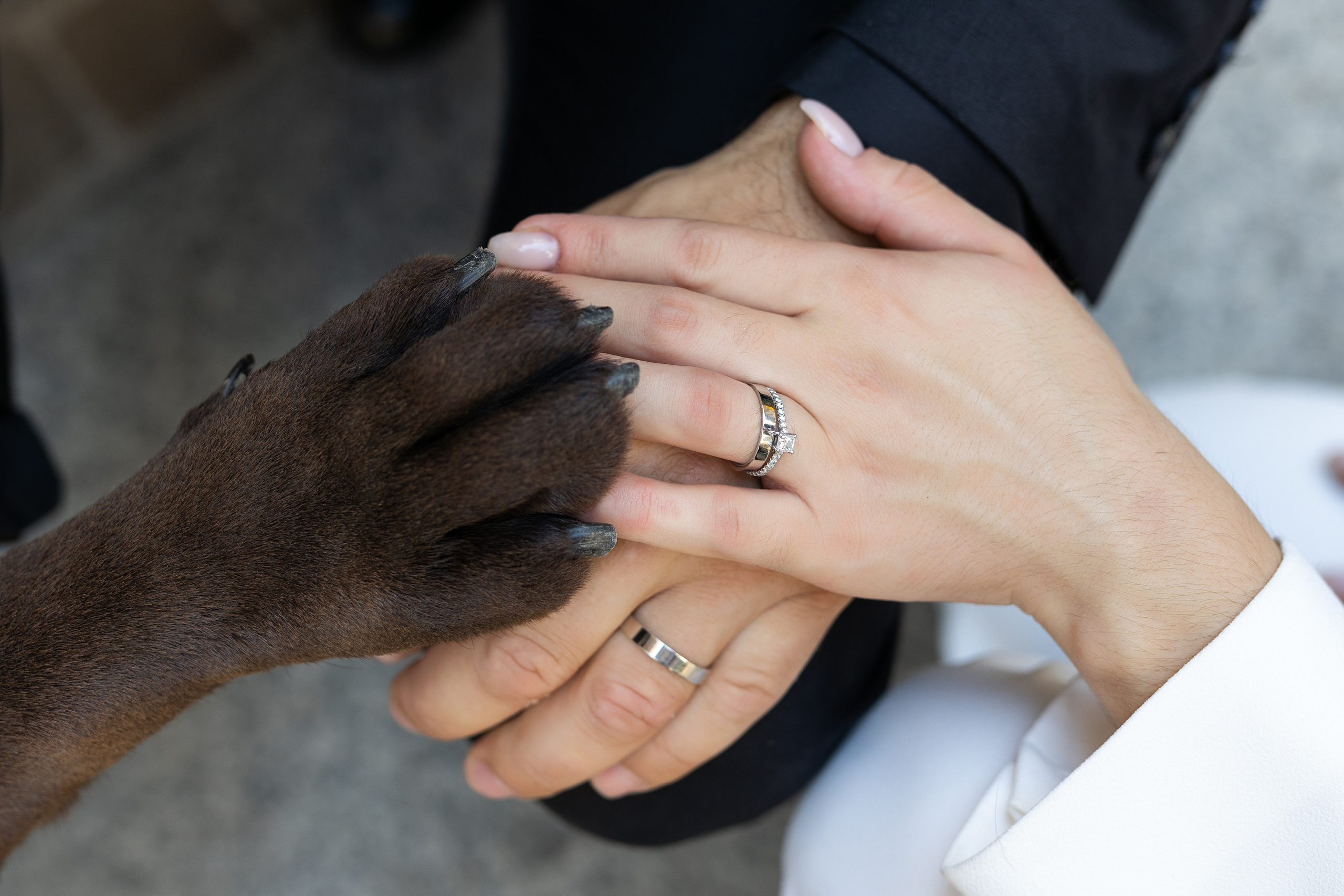 Ruslan & Irina Location: Villa Foleia, Milano