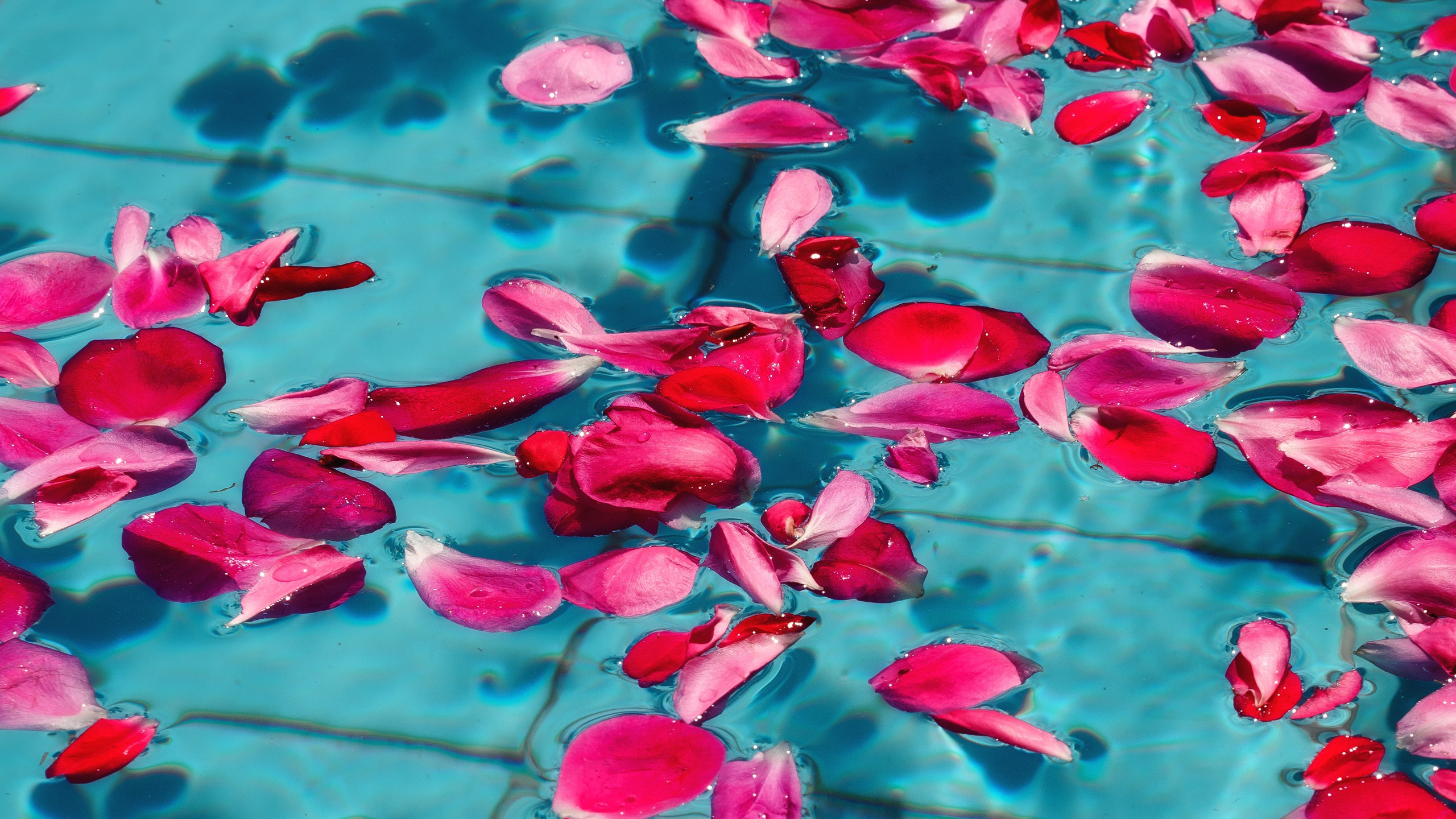 LENA | BAR. Montenegro photographer and videographer