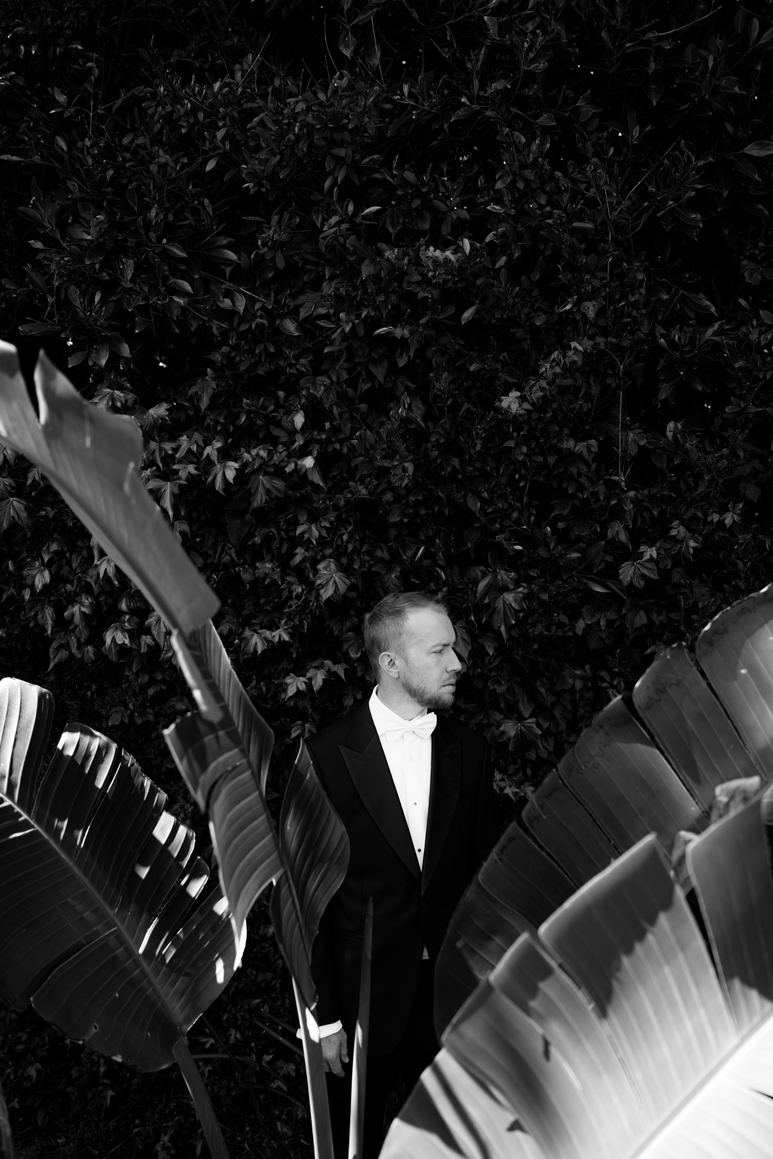 Willow & Anthony. Wedding Photography & Videography San Francisco, Sacramento