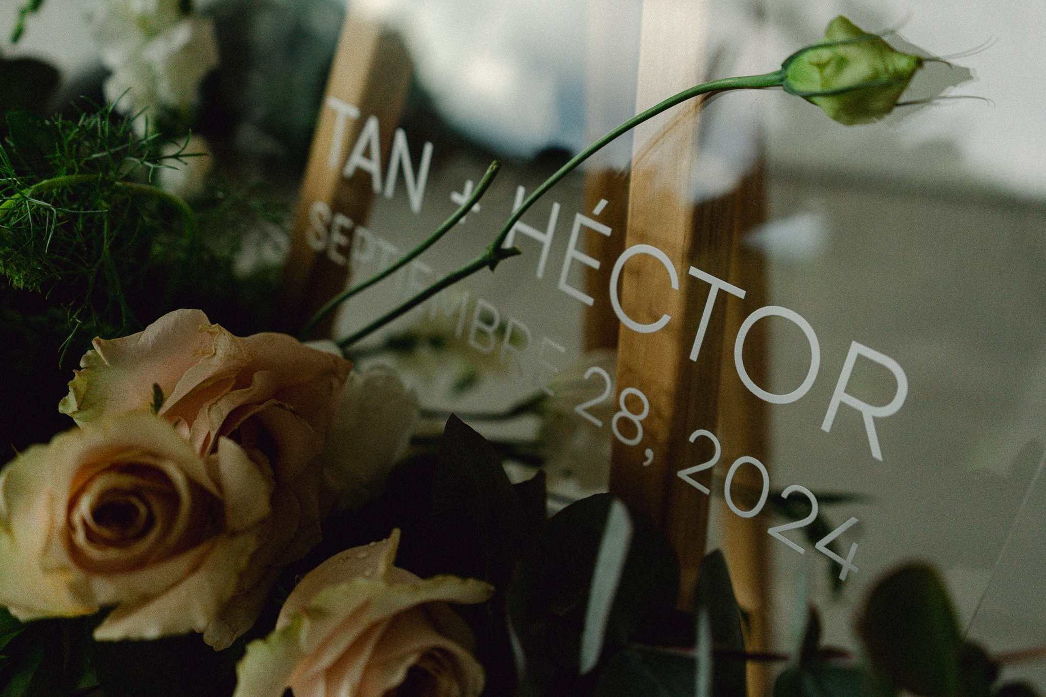 Tania & Hector. Wedding and family photographer in Mexico City