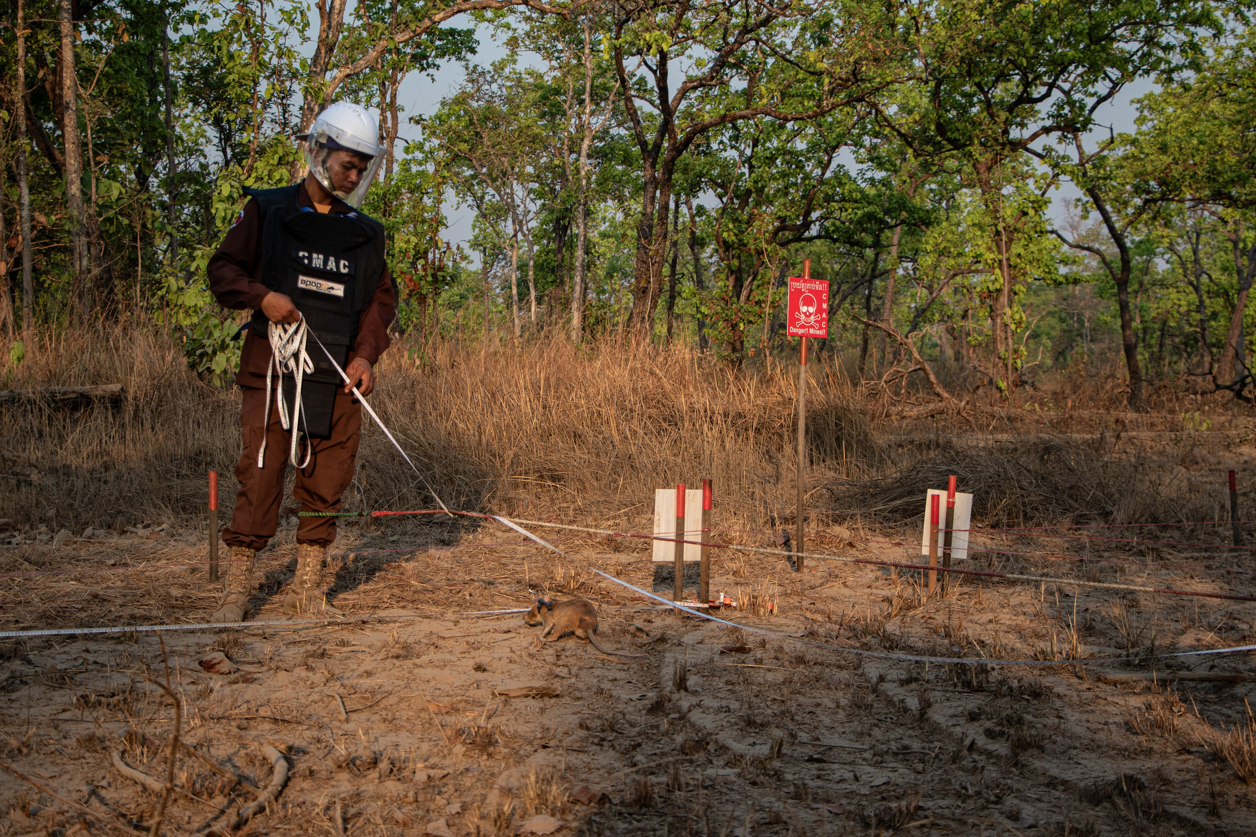 Terrain d'action dans le nord du Cambodge.
