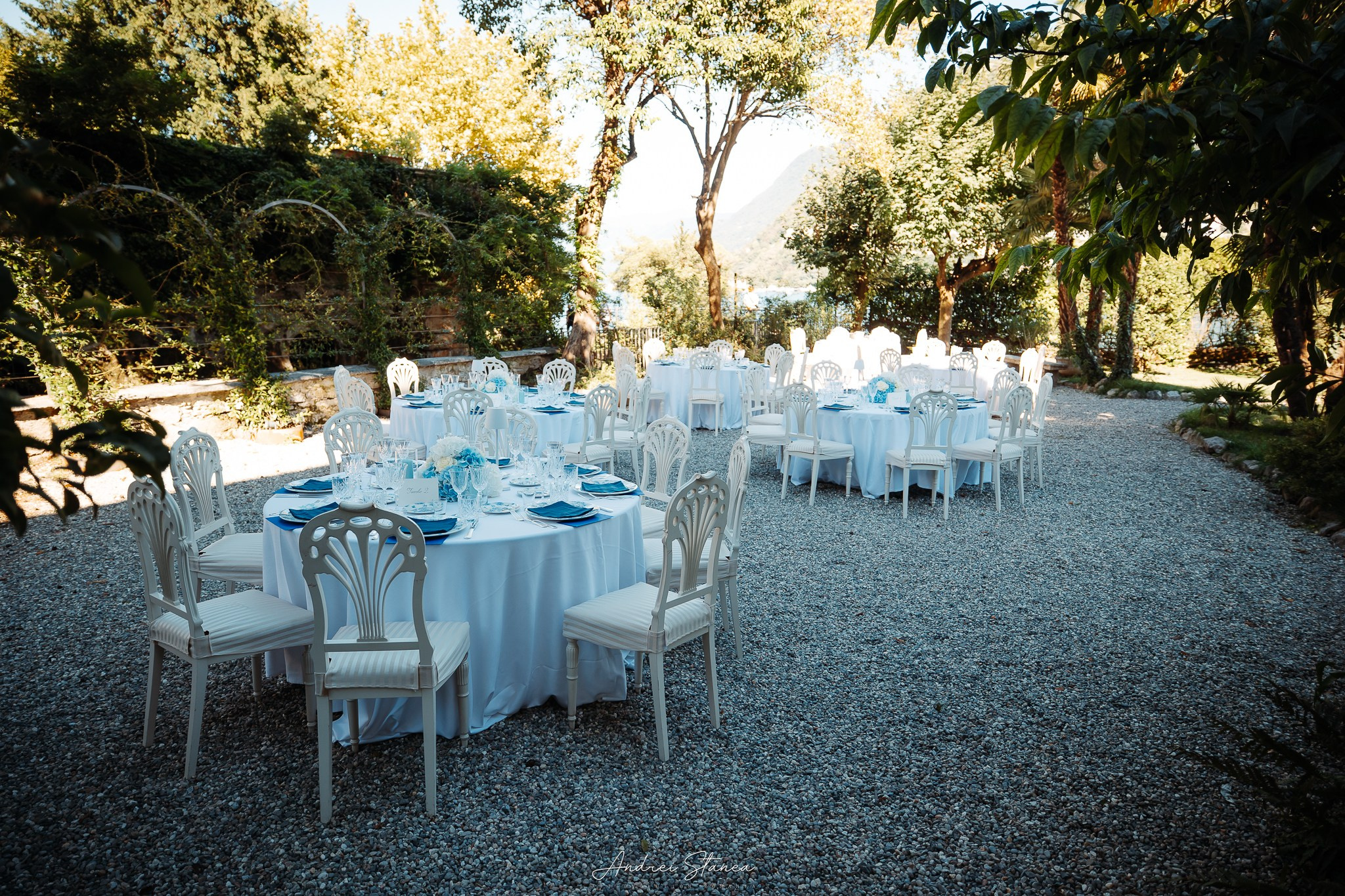 Nicu & Mihaela. Andrei Stanea