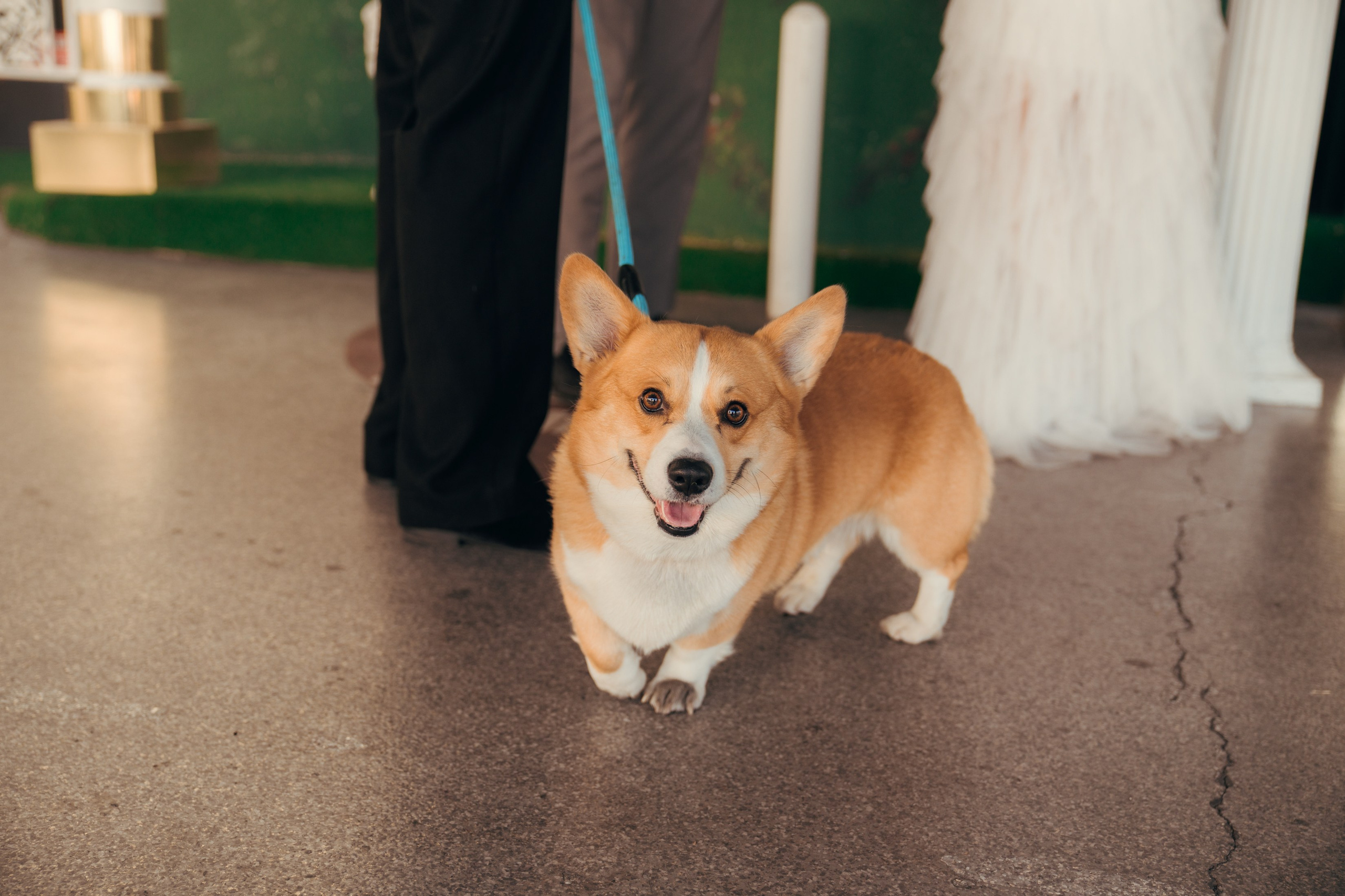 Dylan&Chanin. Wedding & elopement photographer Viktoriya Kravtsov. Las Vegas
