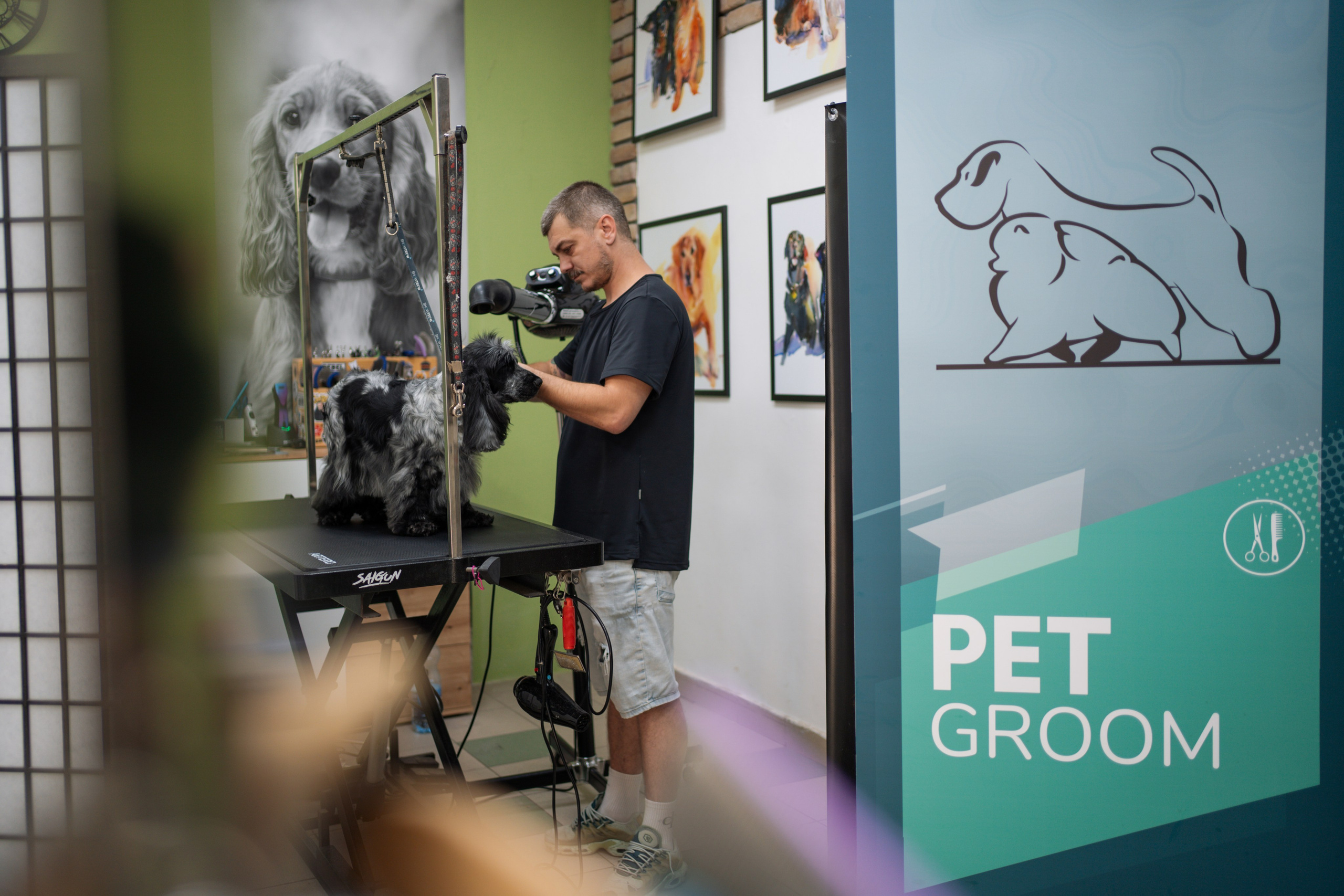 PetGroom Timisoara. Cozac Cristian Photographer