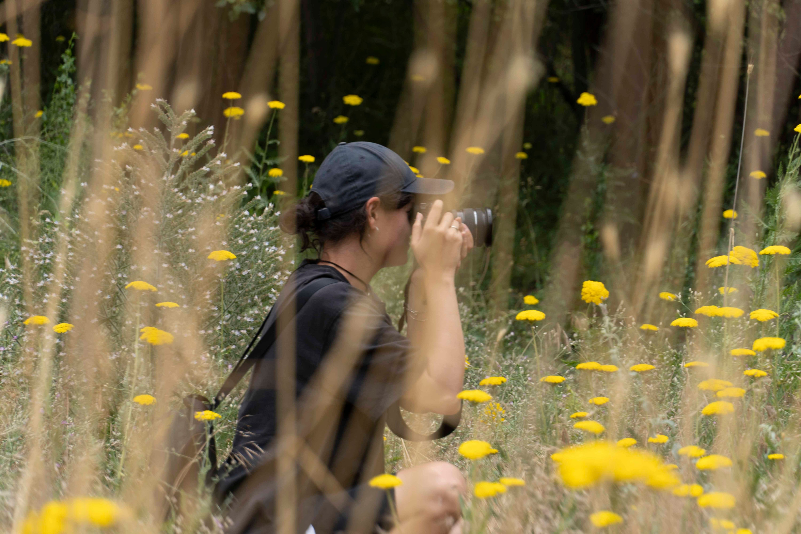 Wildlife Photography Programme (British Council x MOC). Melikov Amir, Uzbekistan based photographer