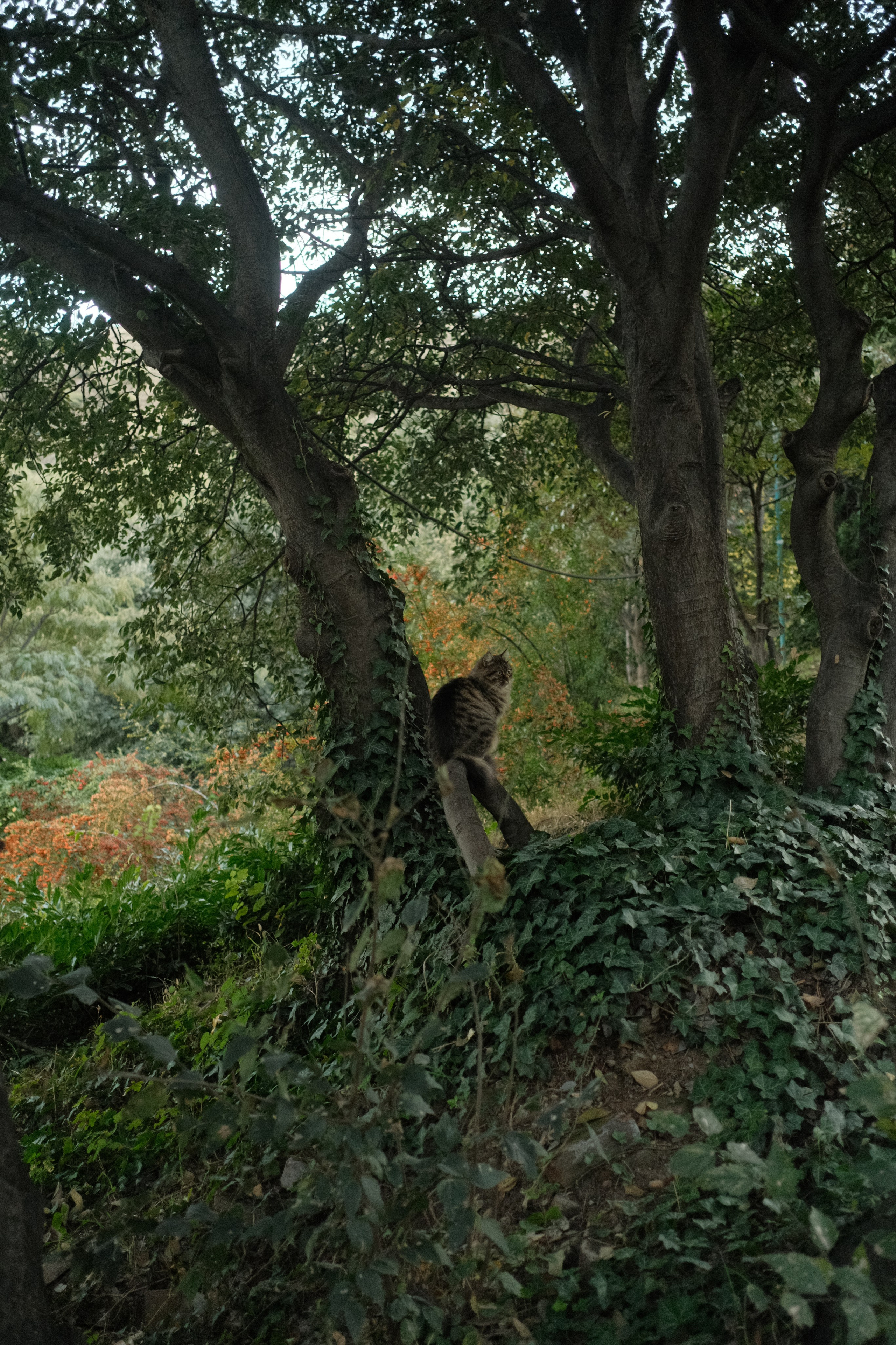 Georgia. Portrait and Lifestyle Photographer in Vienna — Nick Pavlov