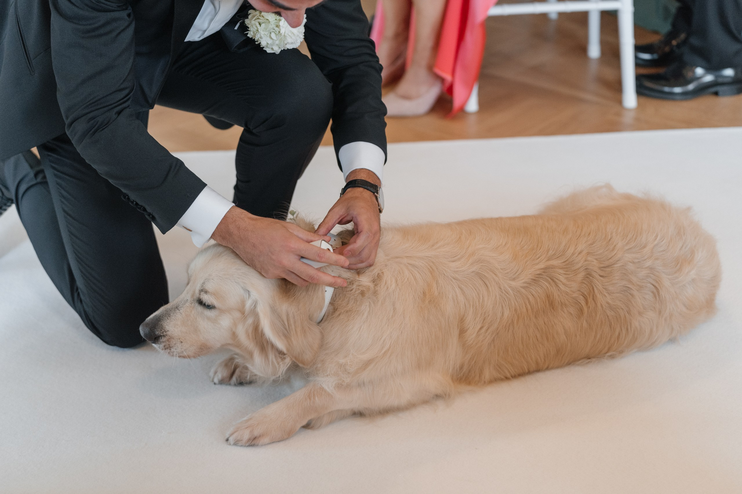 Joshua & Barbara. Wedding photographer Natalia