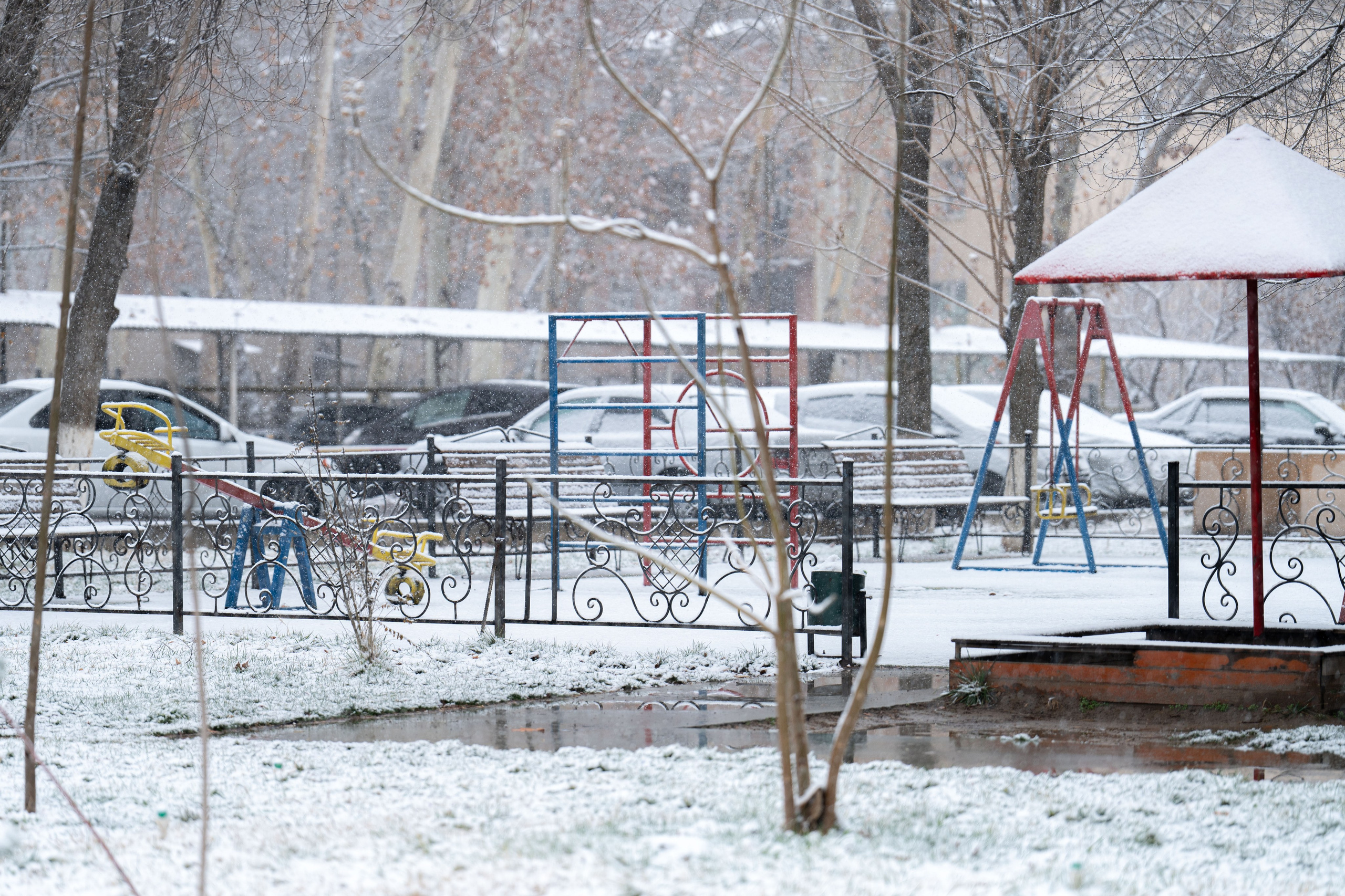 Первый снег в 2024 году. Георгий Намазов | Фотограф в Ташкенте