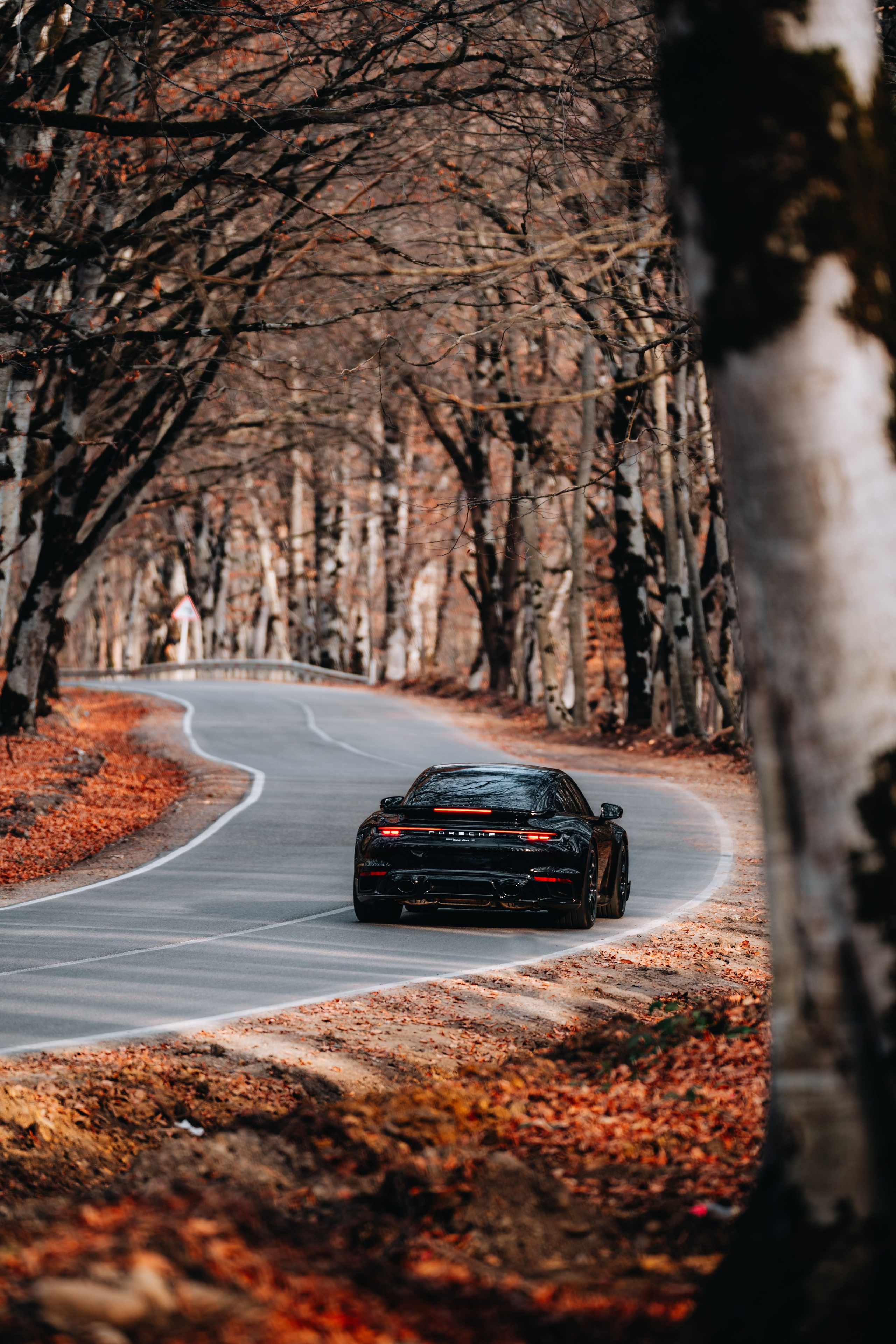 Porsche. Merabi Eminashvili