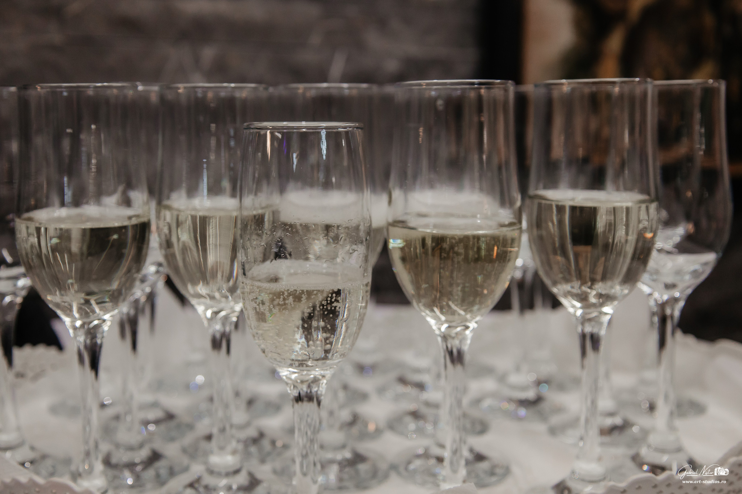 Hai-Hui Birnova. Gabriel Nistor Art-Studios - Fotografo / Videografo Iasi