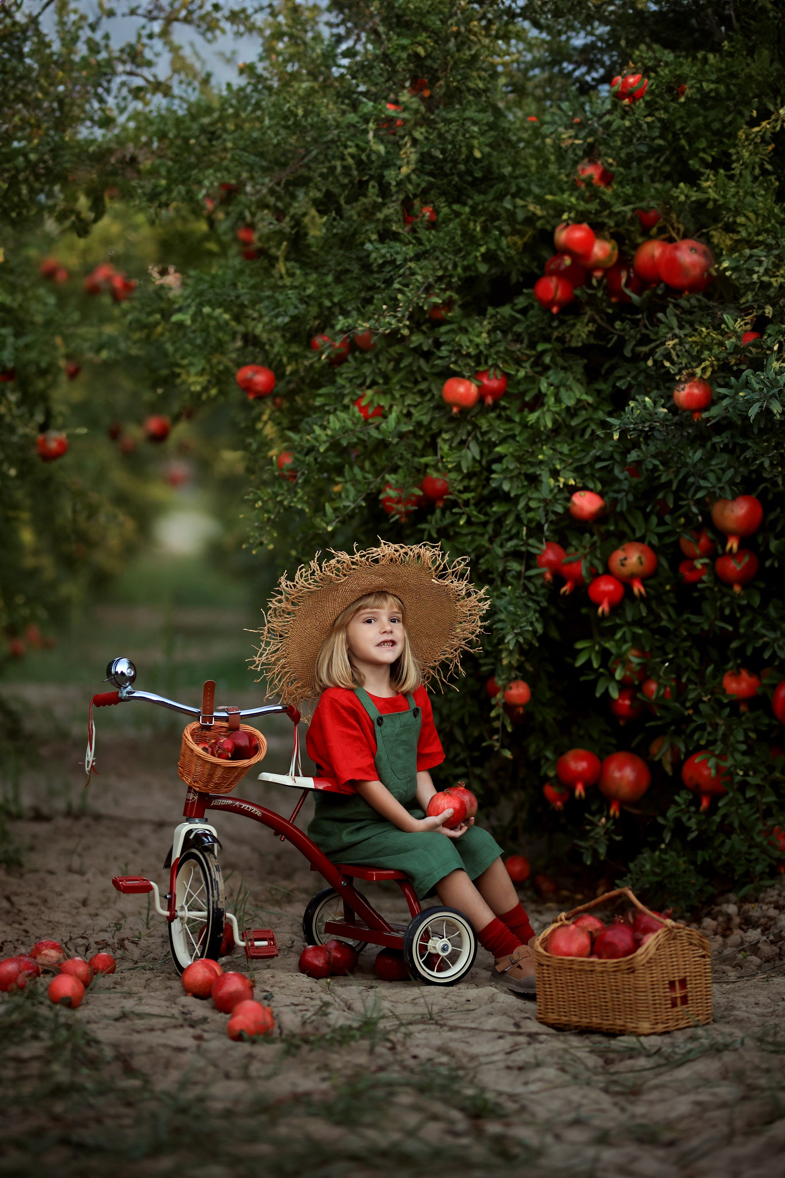 Photoshooting in pomegranate garden. Photographer in Turkey, Antalya, Kemer, Belek, Side, Kas, Fethiye