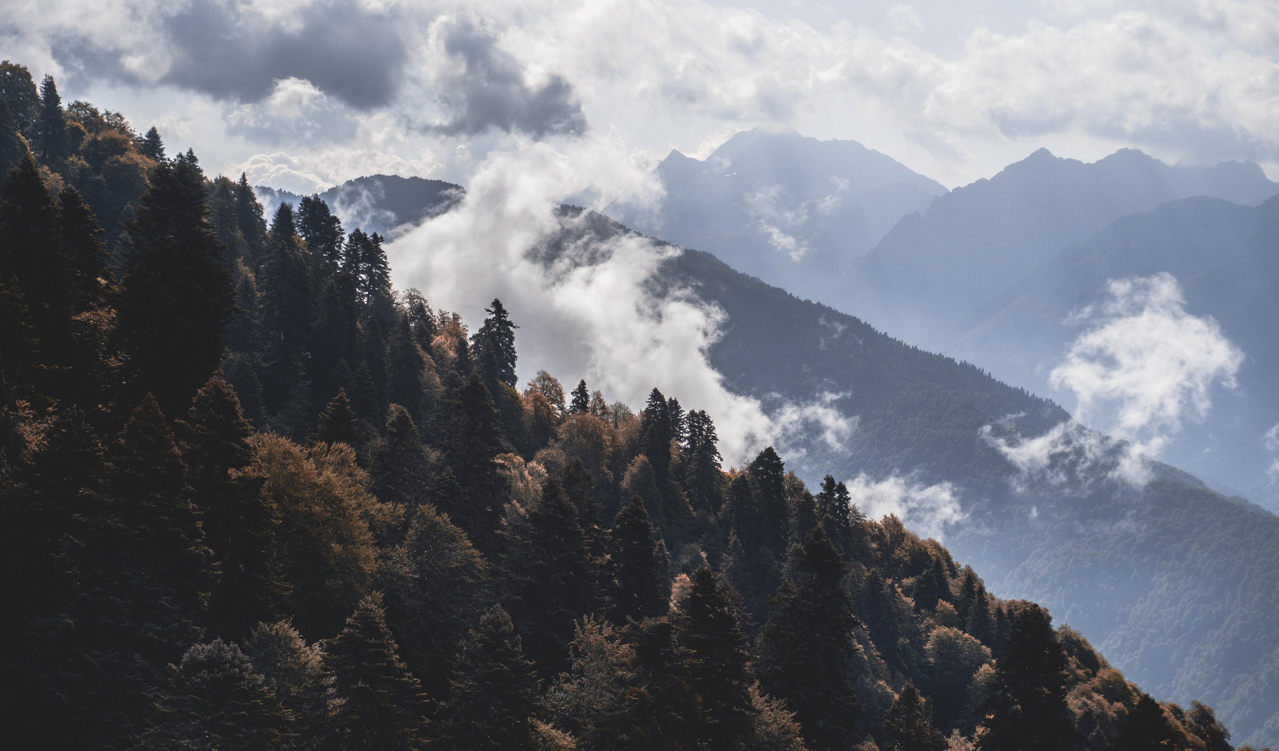 Russia | Krasnaya Polyana