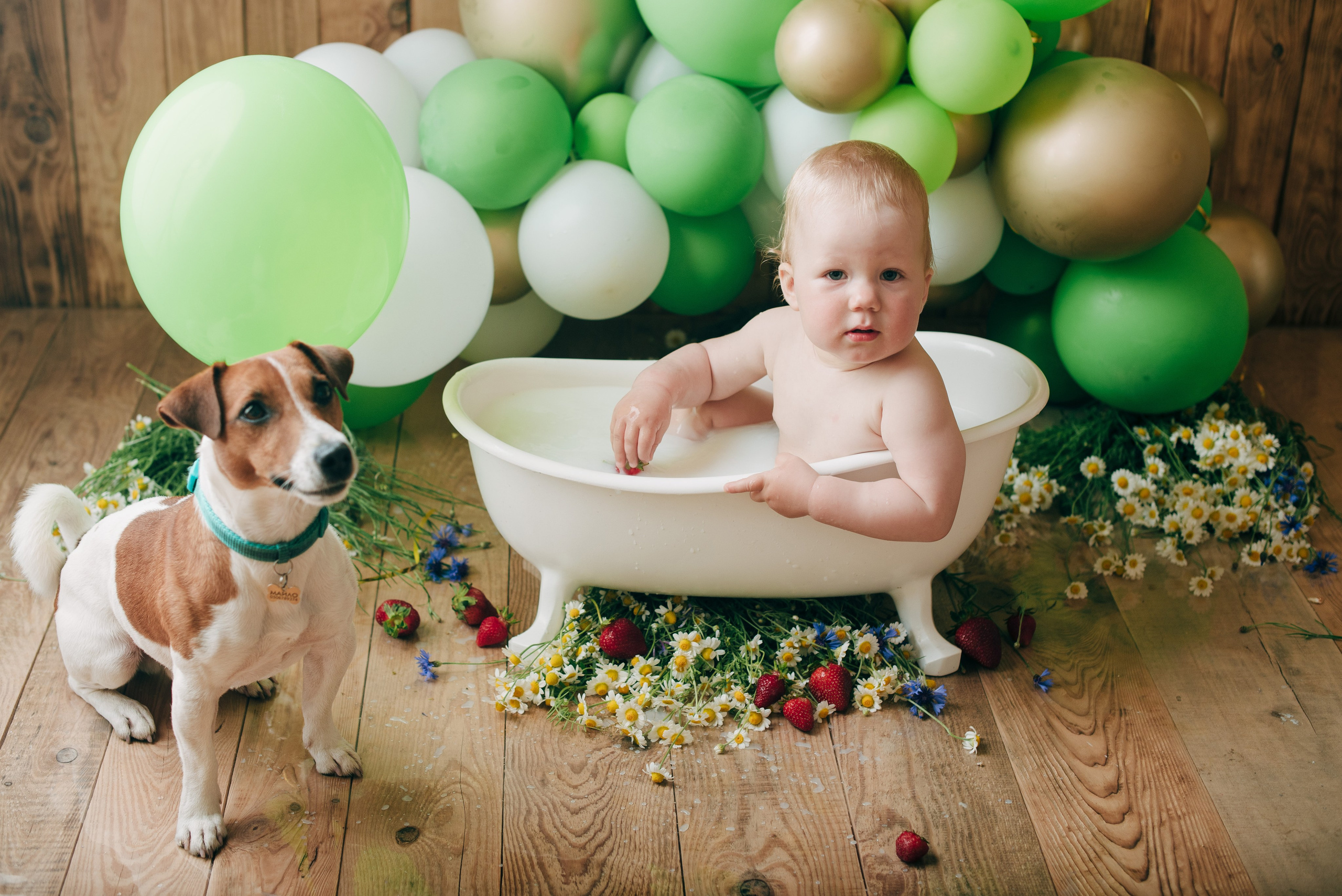 SVYATOSLAV. Https://newbornphoto.wfolio.pro/me